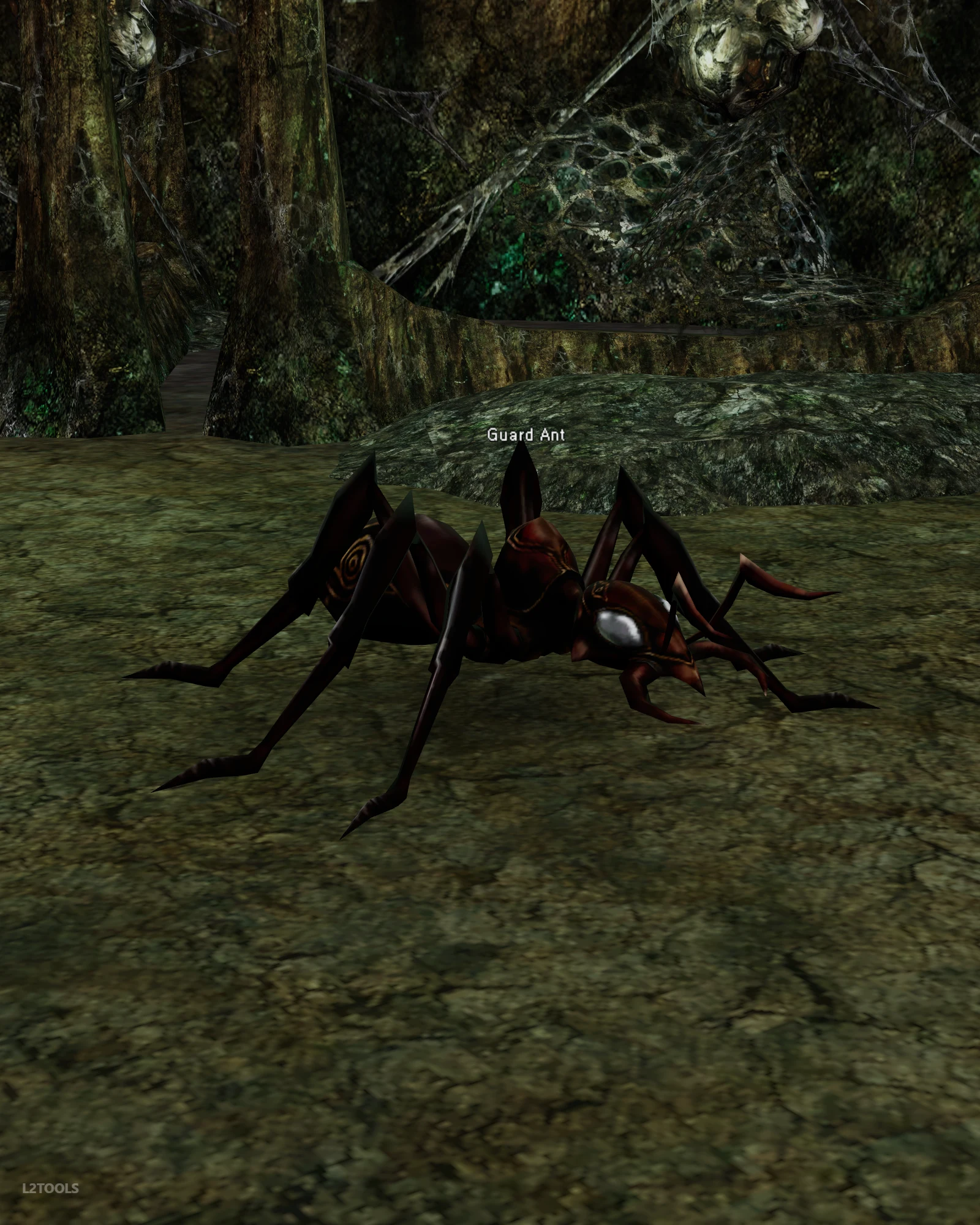 Guard Ant portrait