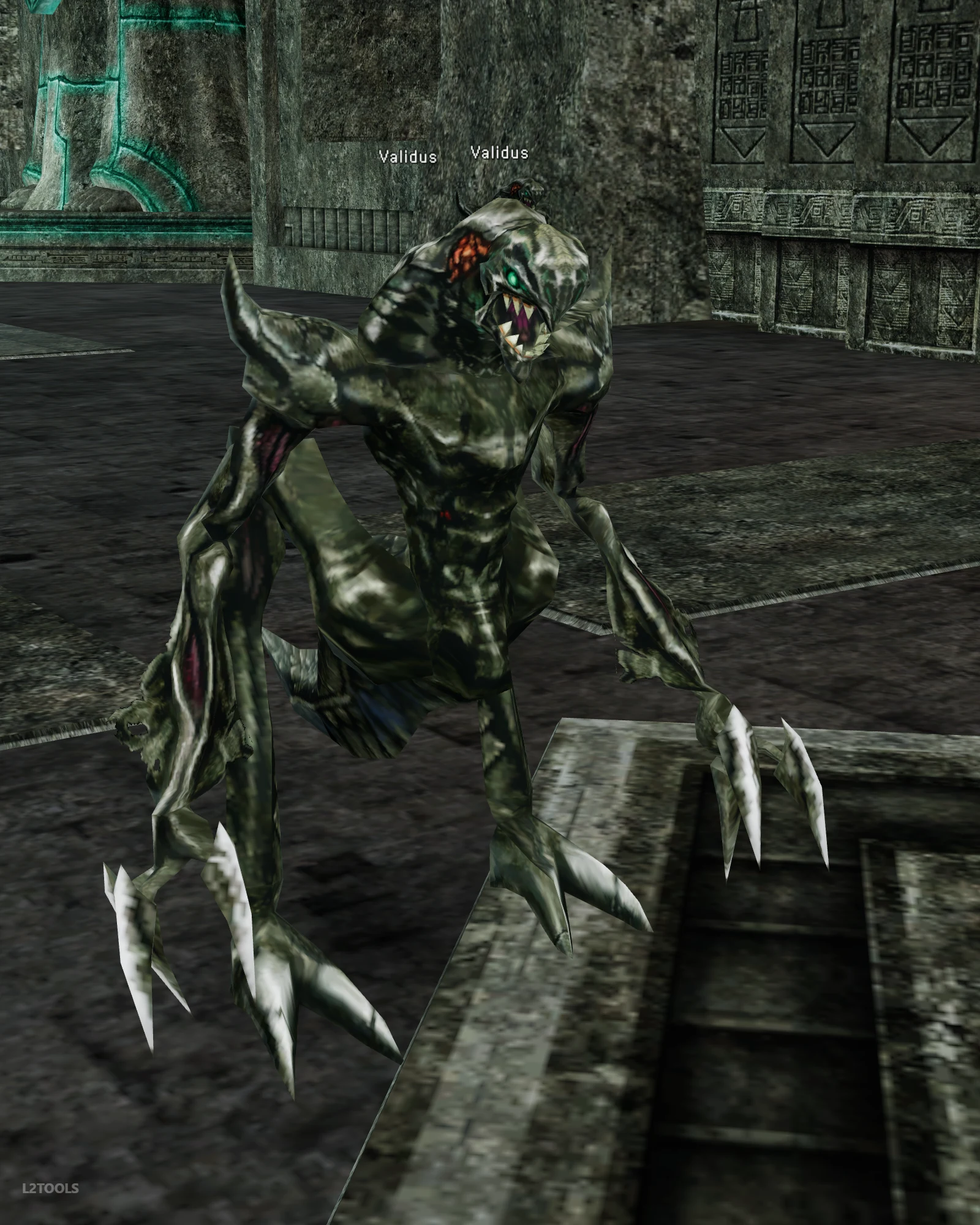 Validus portrait