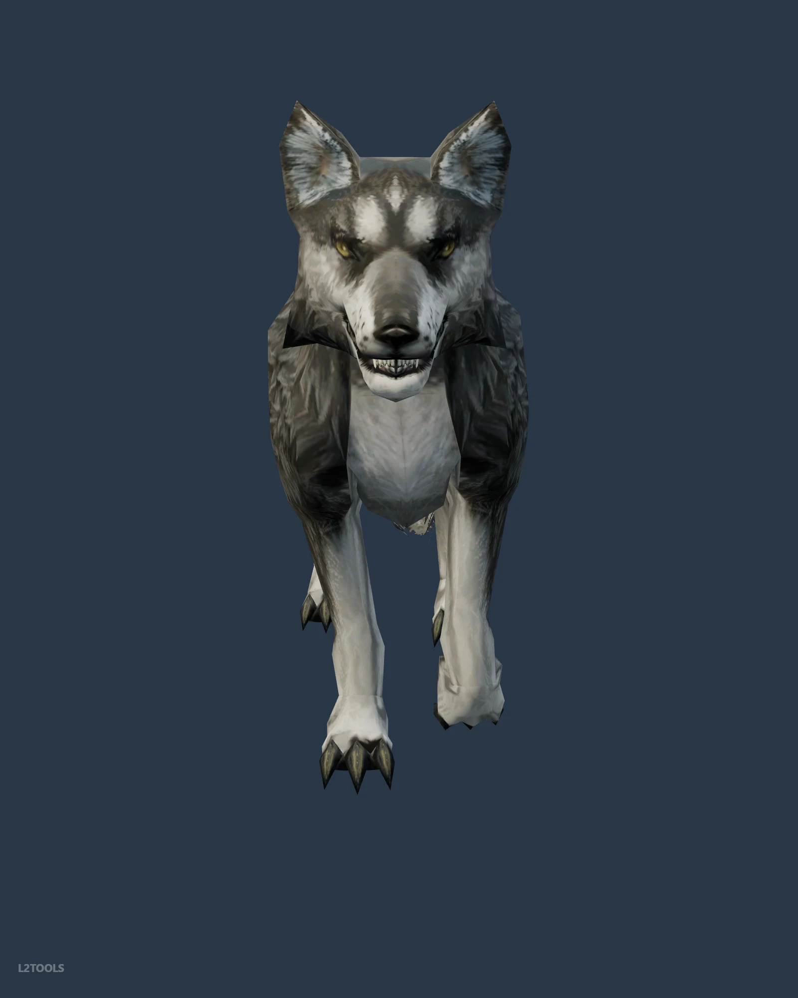 Pet Wolf A portrait
