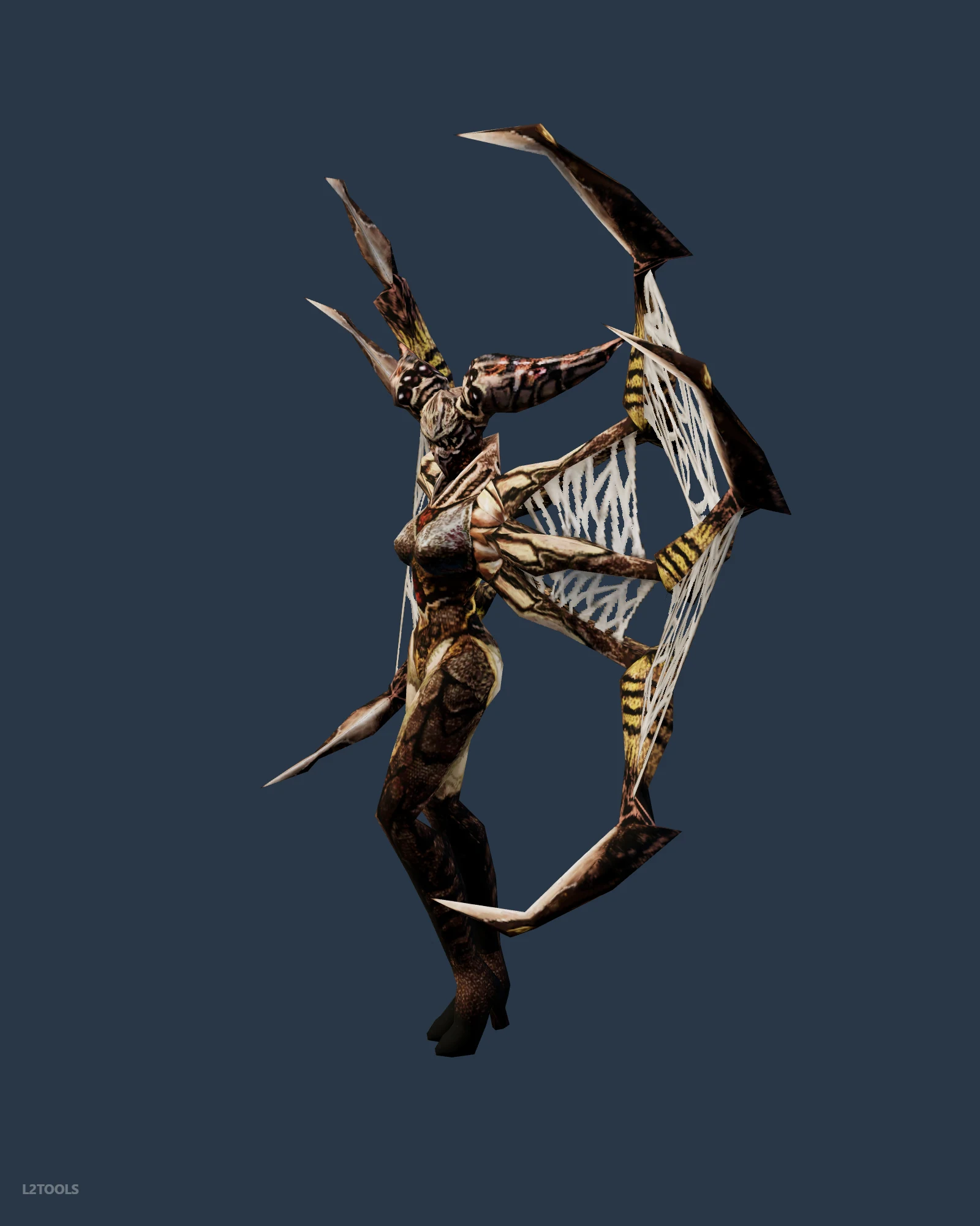 Arachne portrait