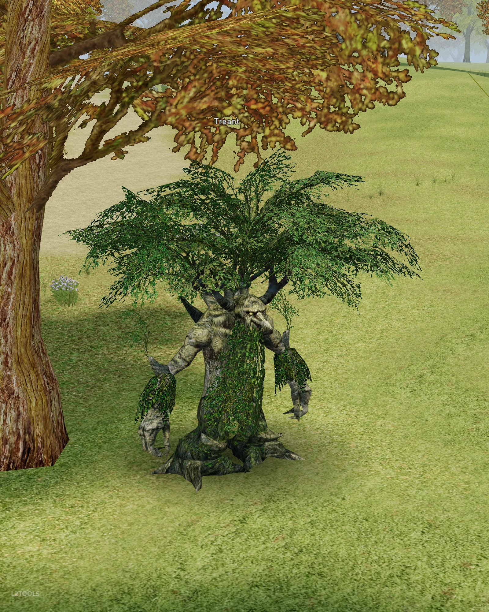 Treant portrait