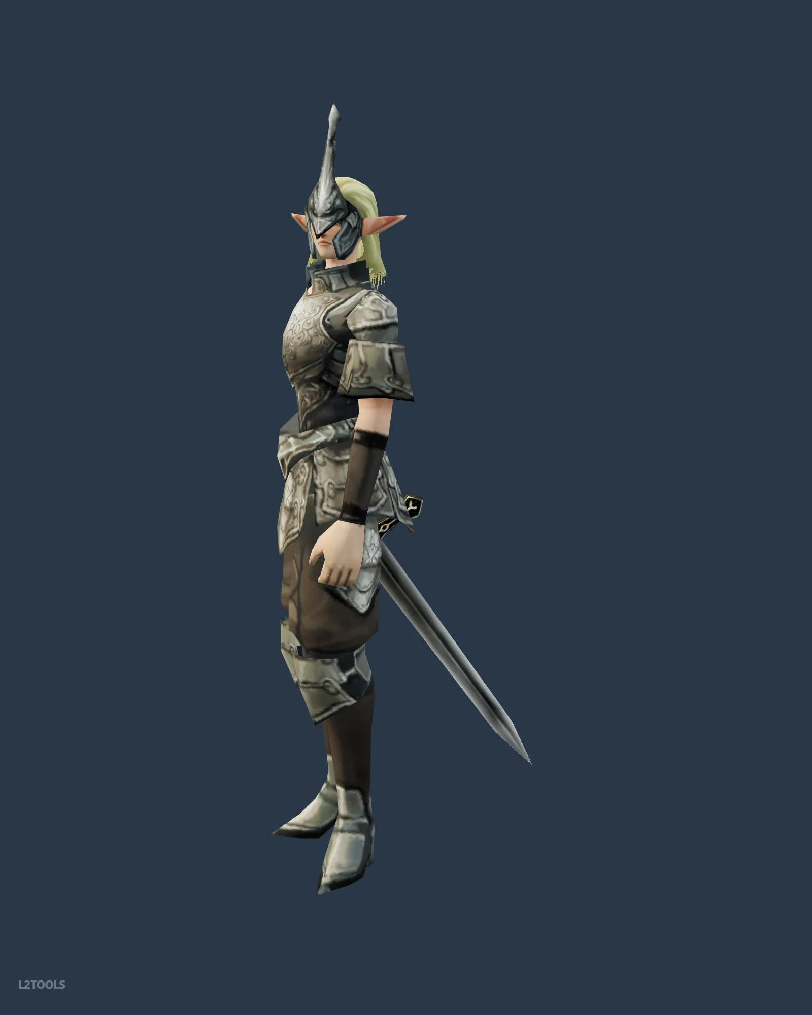 Guard portrait