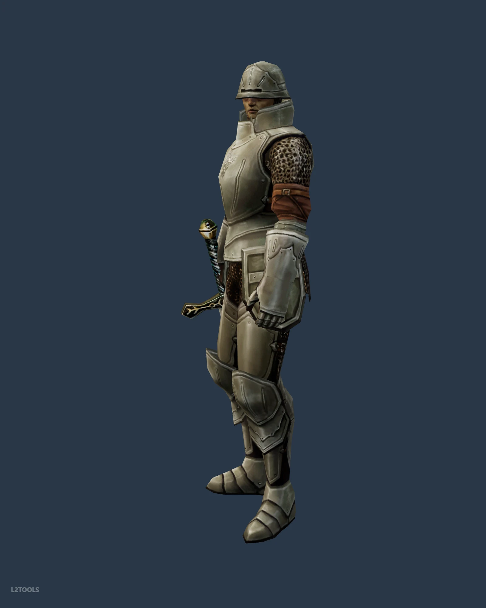 Guard portrait