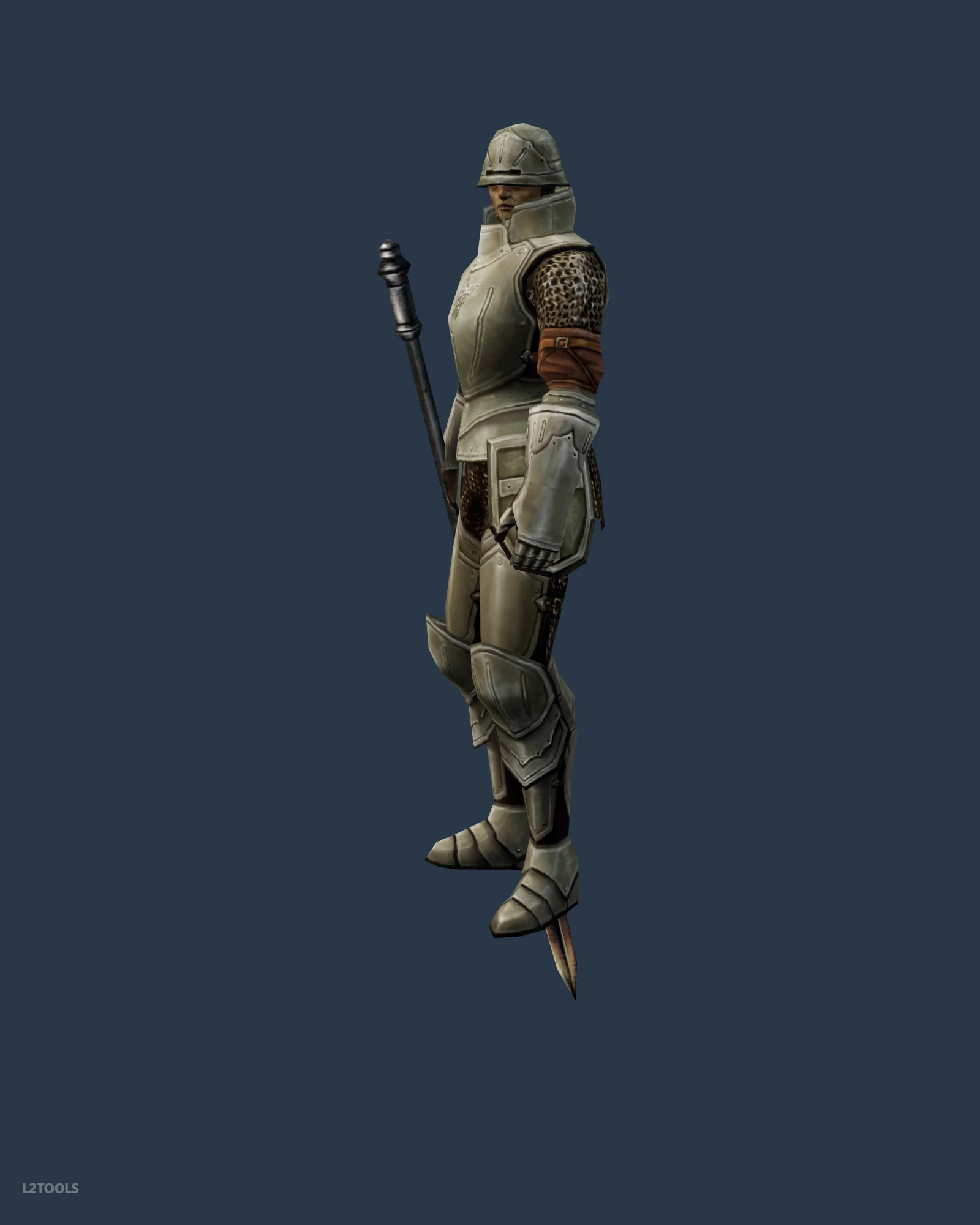 Guard portrait