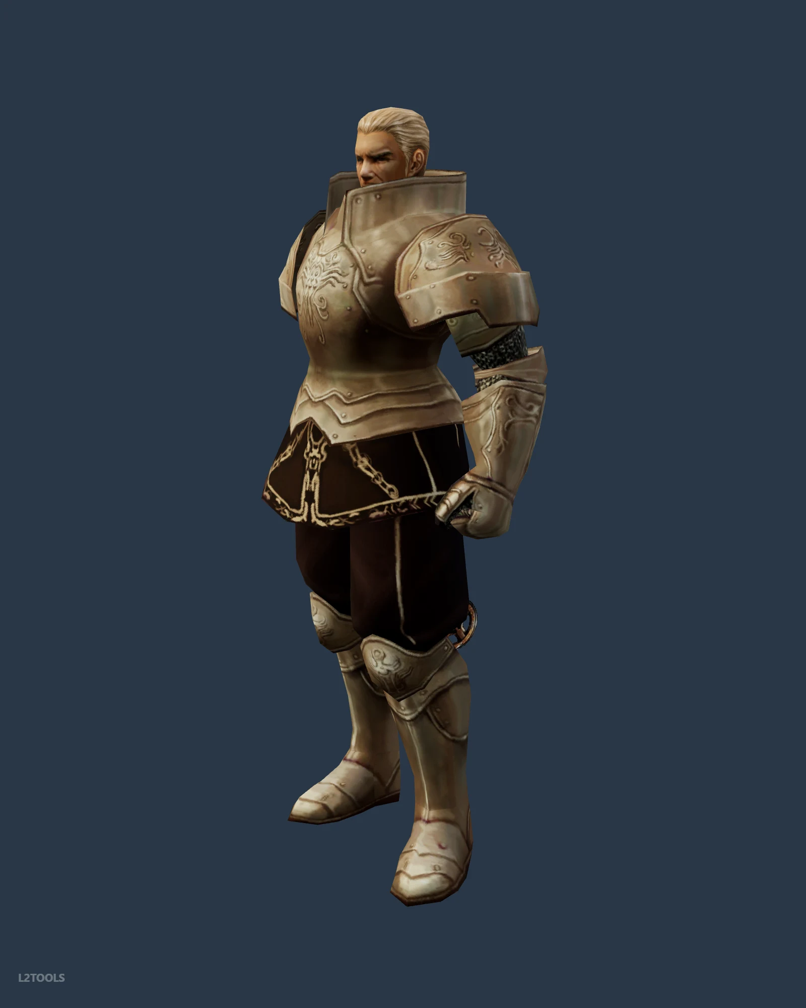 Mercenary portrait