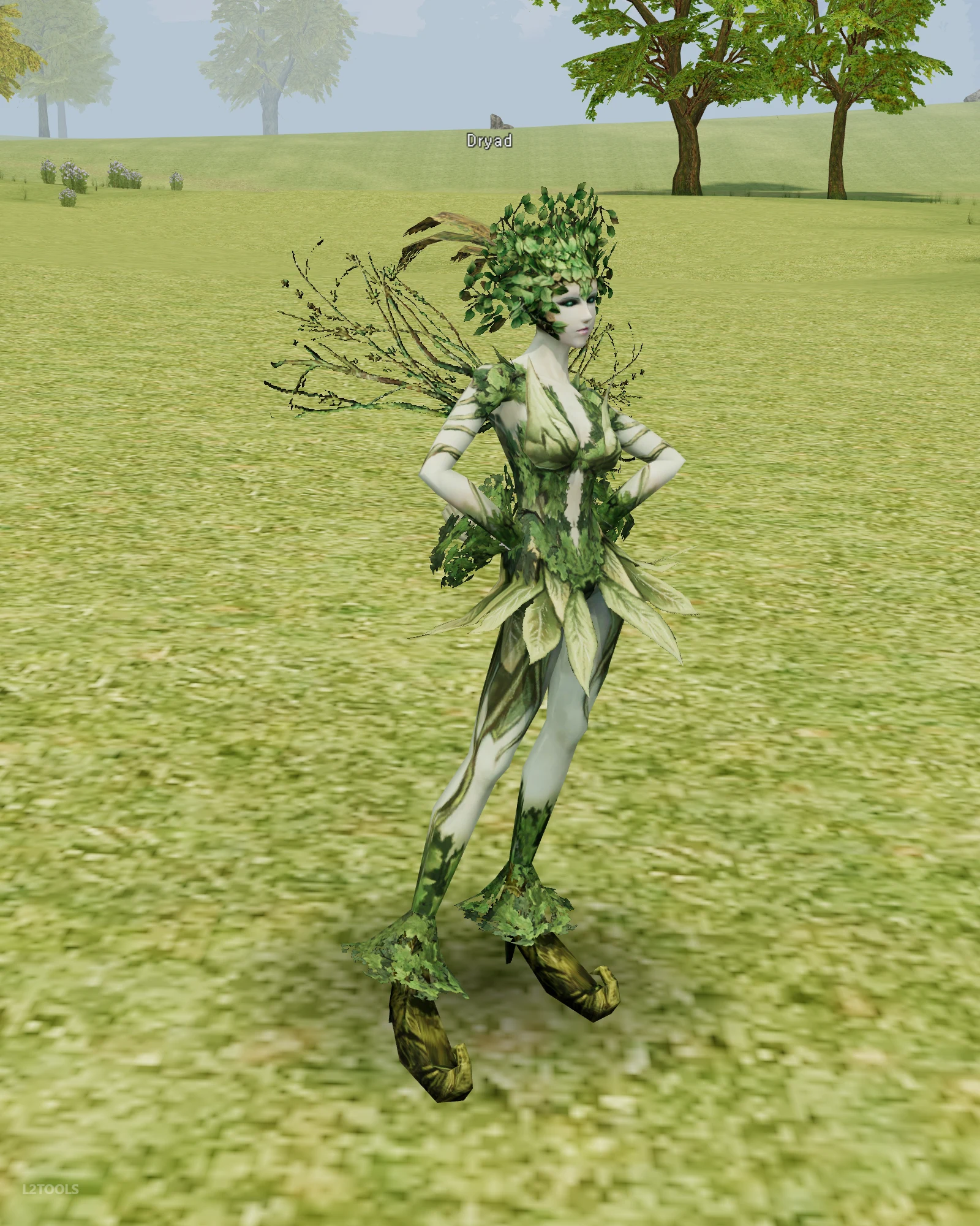 Dryad portrait