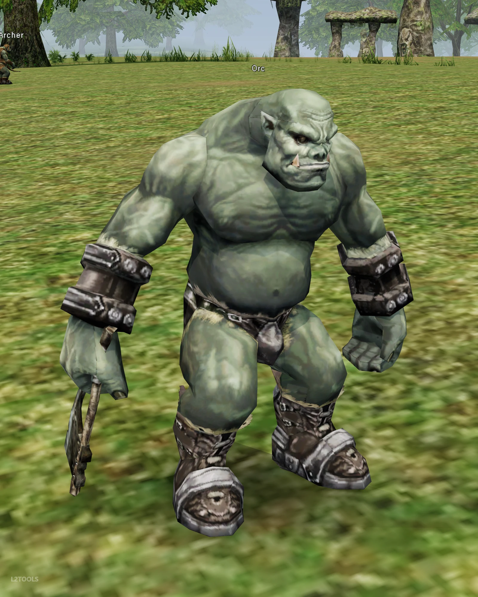 Orc portrait