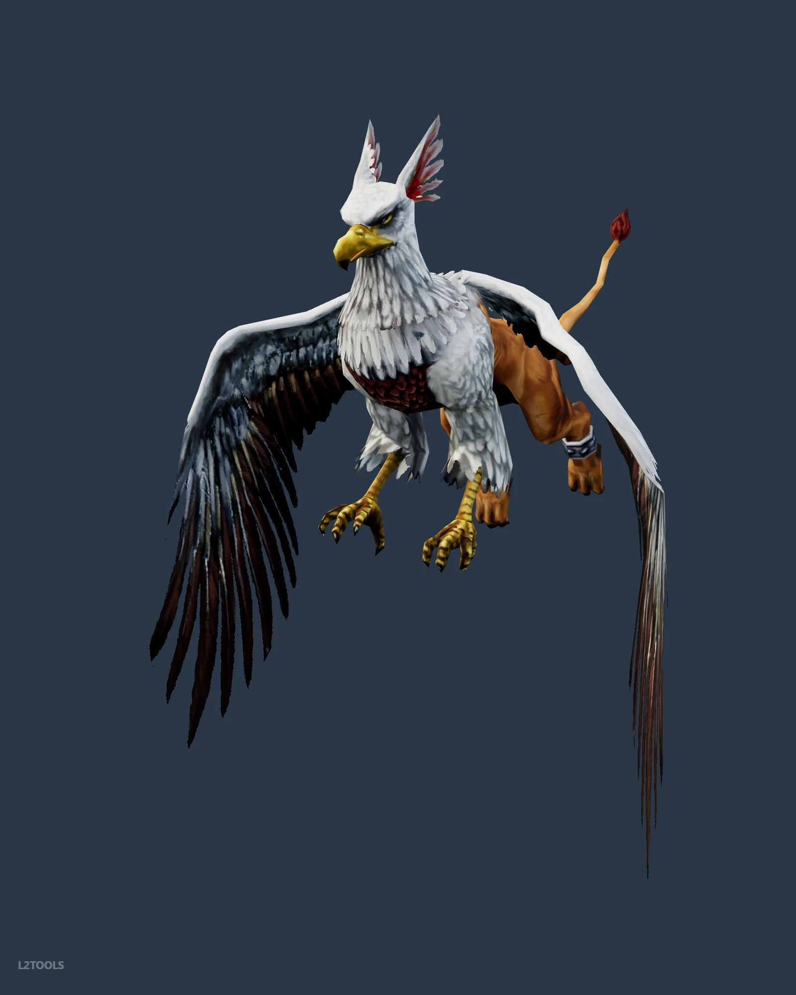 Griffon portrait