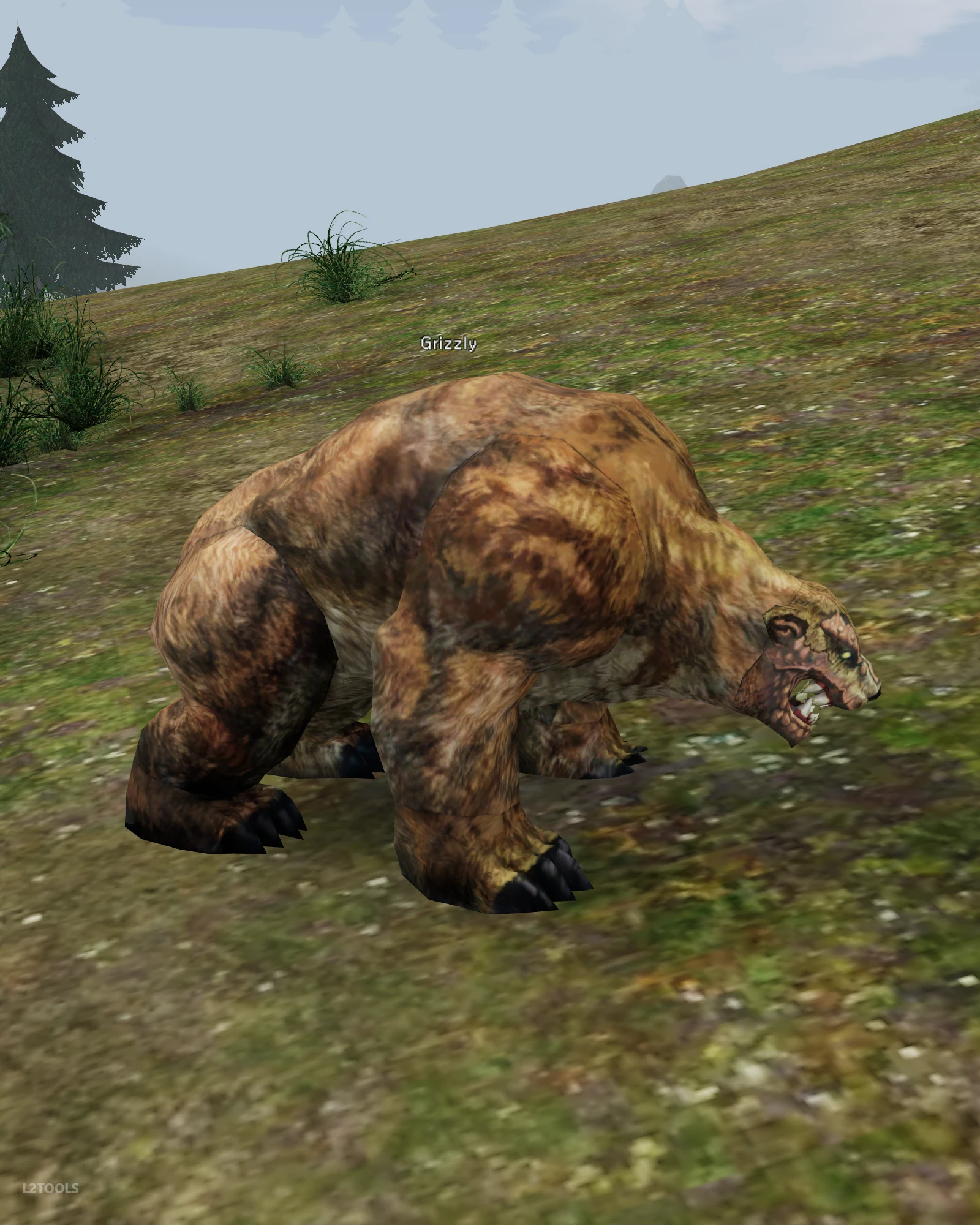 Grizzly portrait