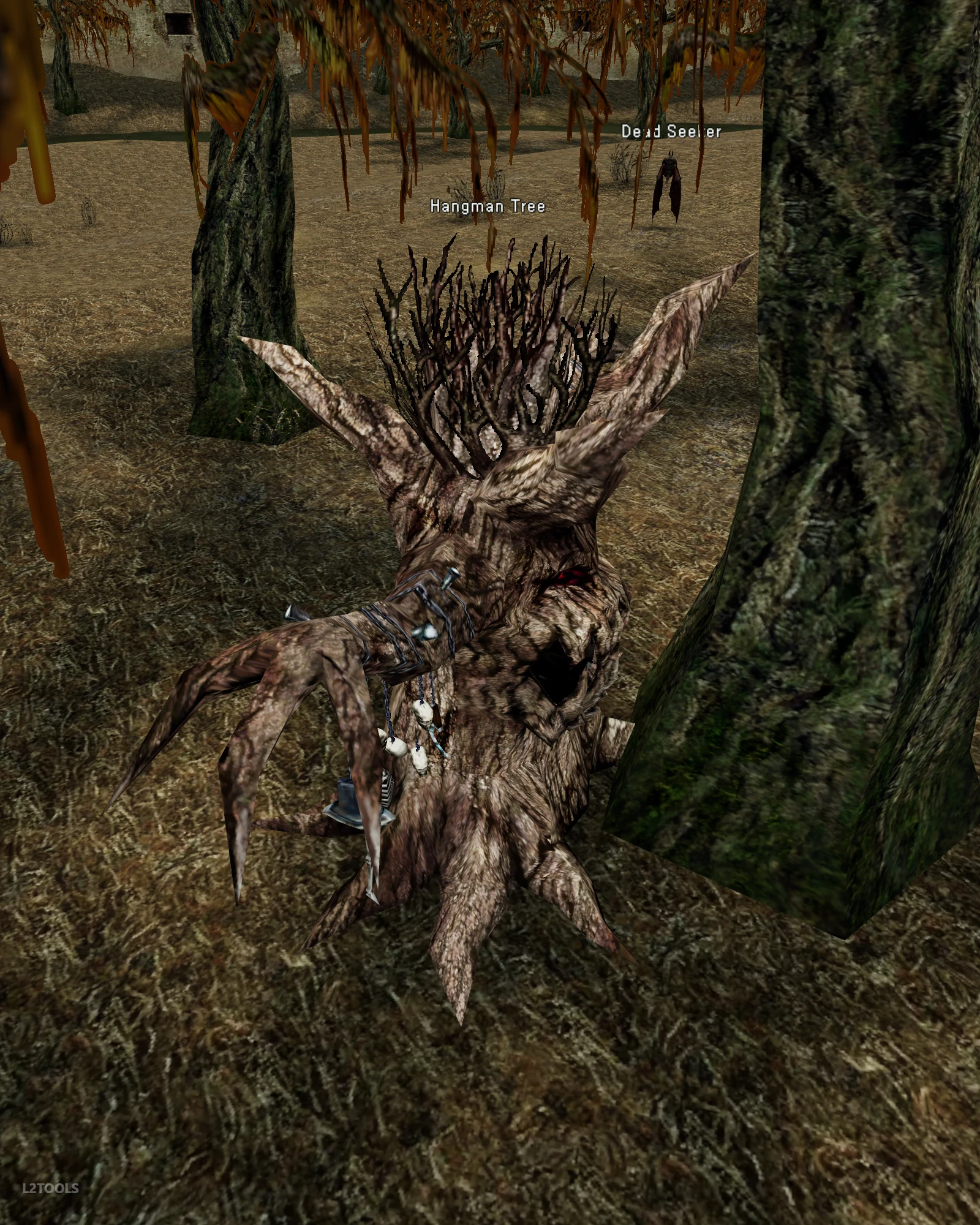 Hangman Tree portrait