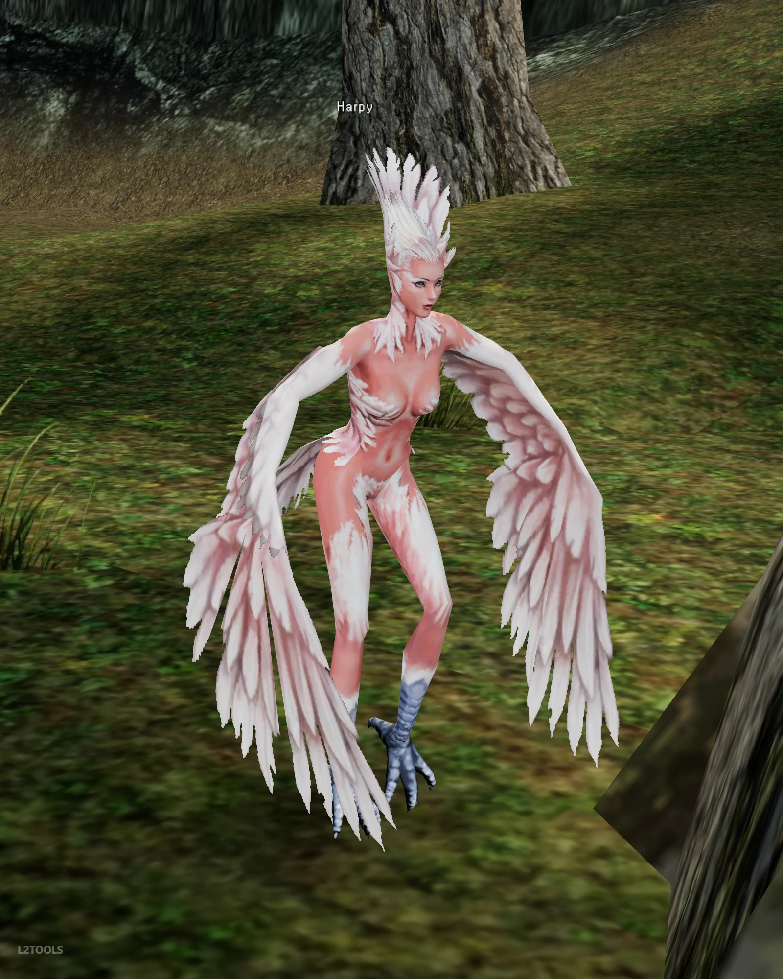 Harpy portrait