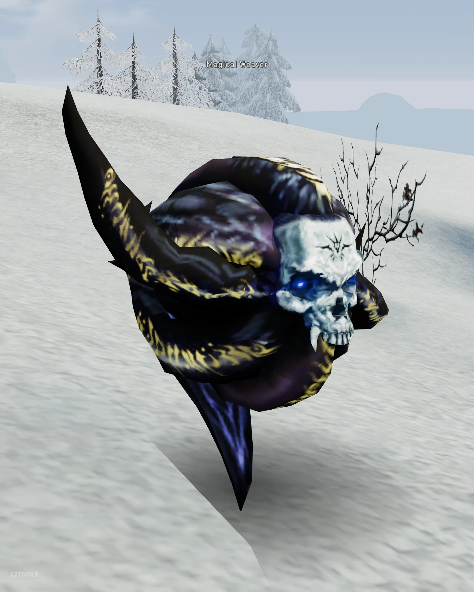 Magical Weaver portrait