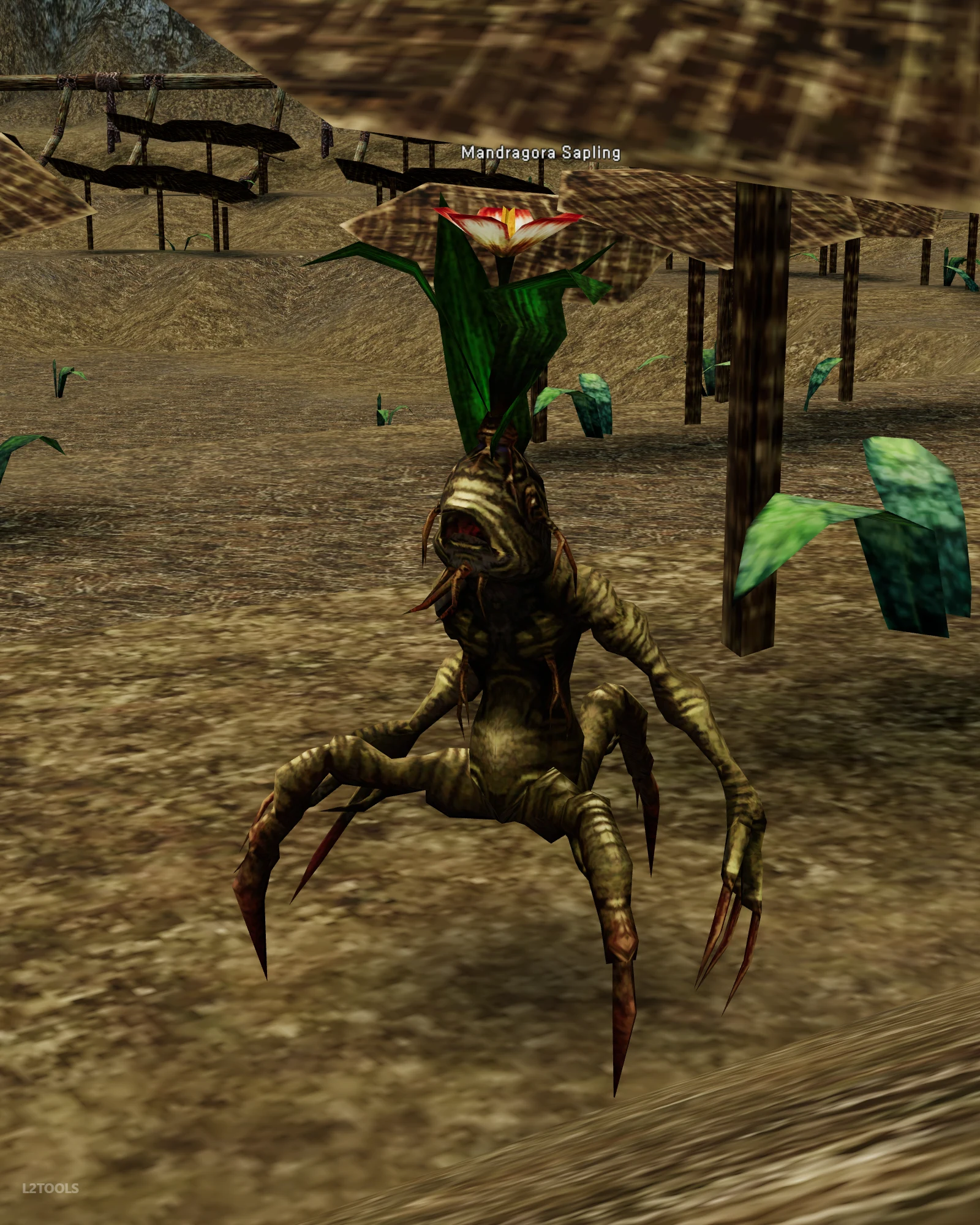 Mandragora Sapling portrait