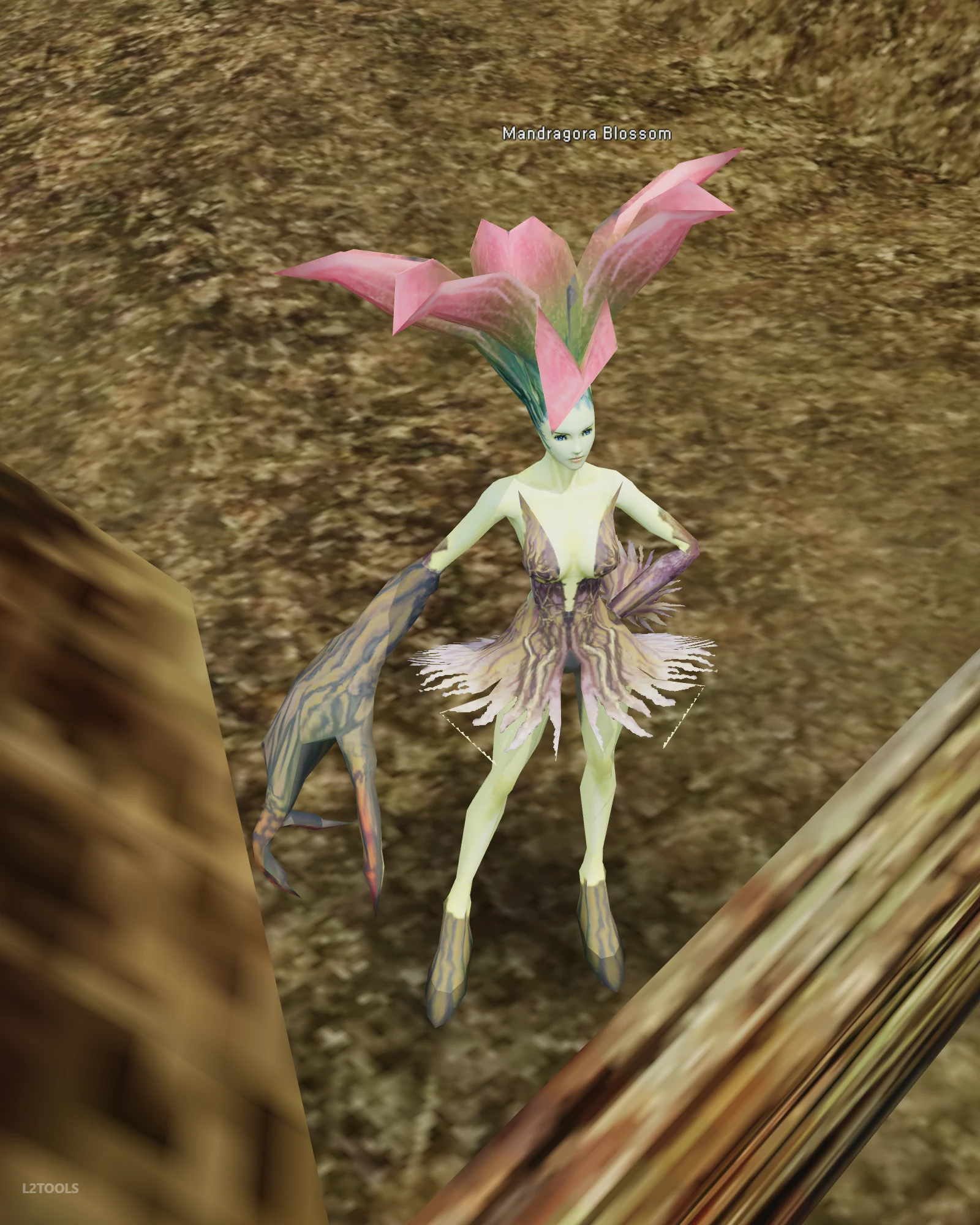 Mandragora Blossom portrait