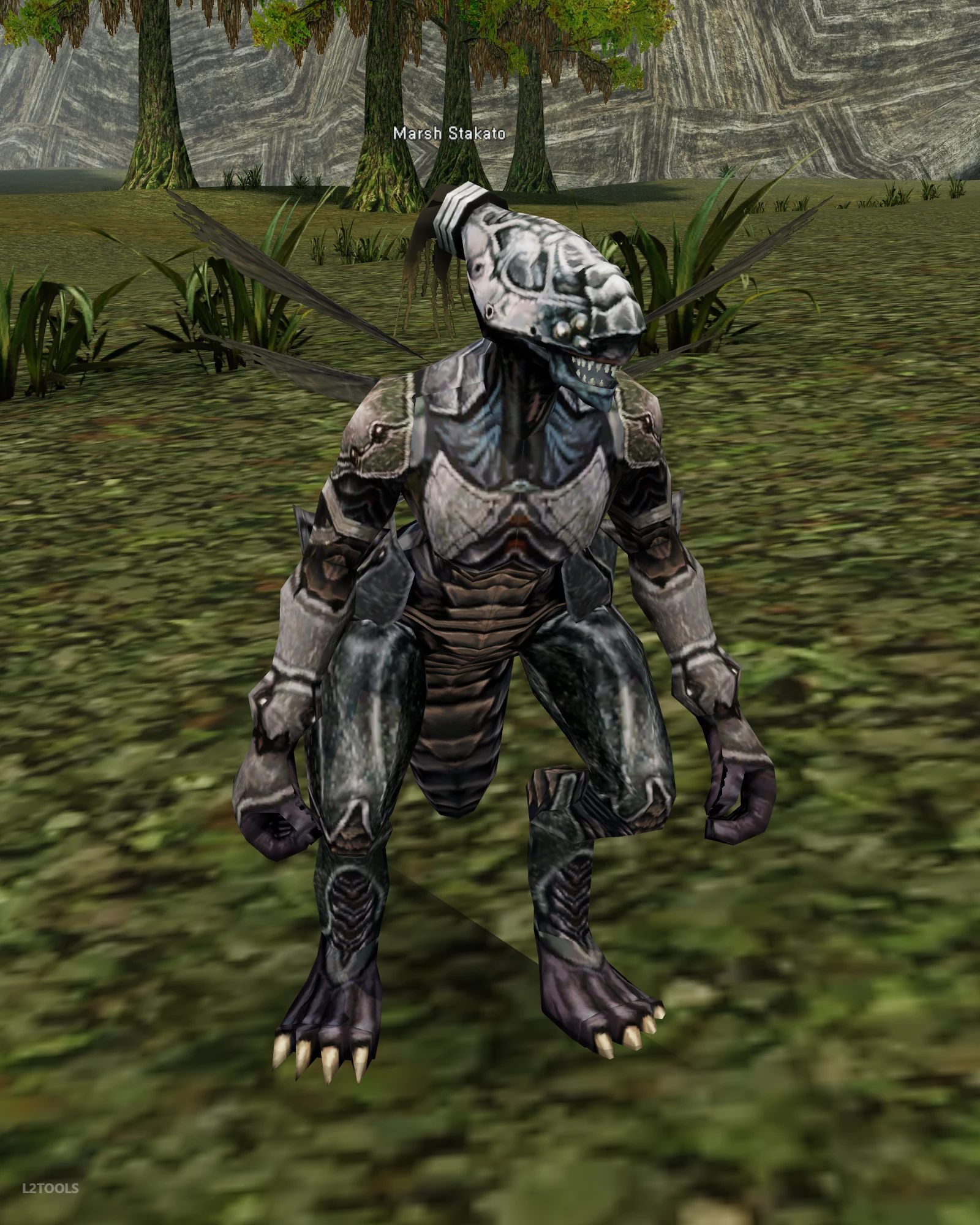 Marsh Stakato portrait