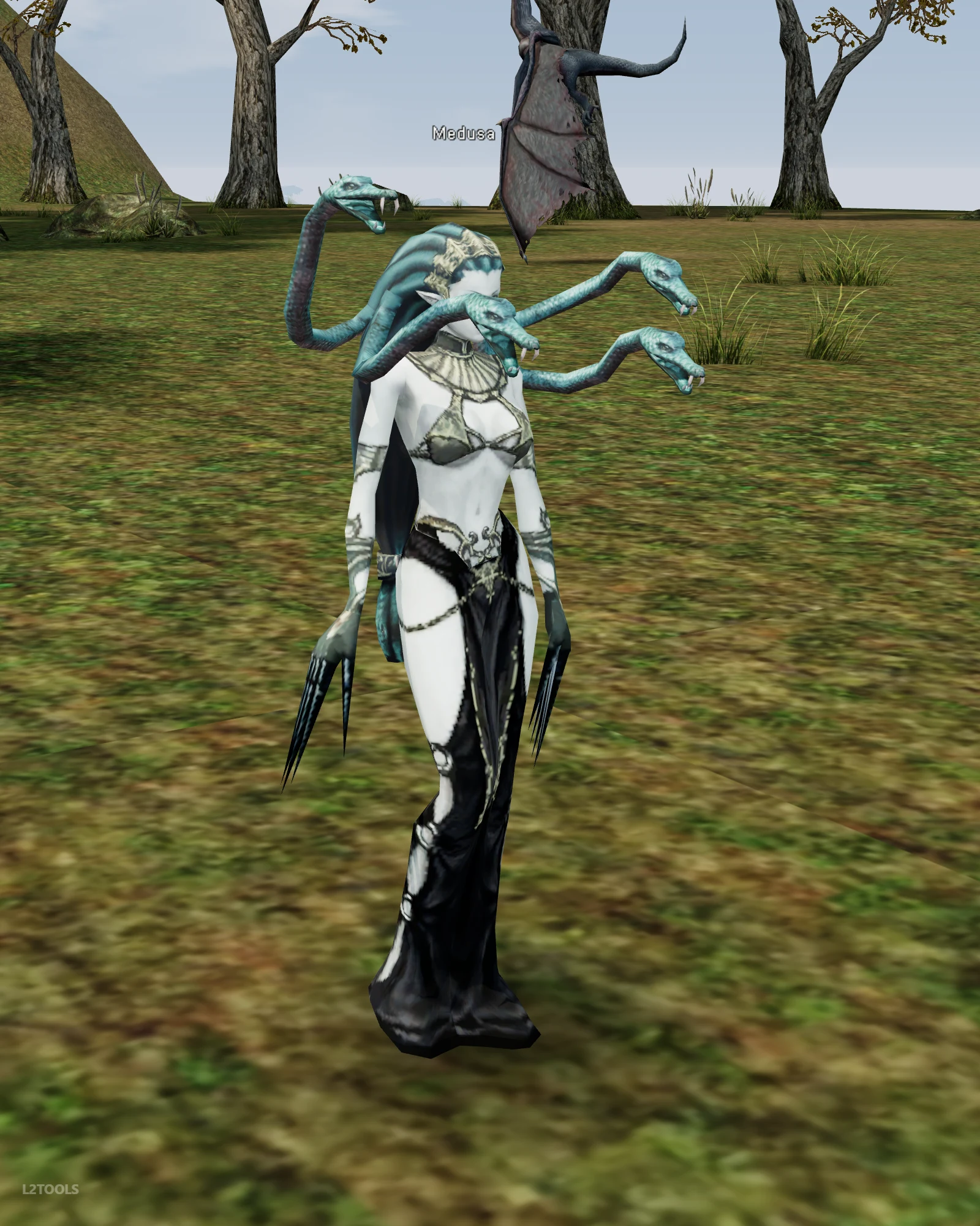 Medusa portrait