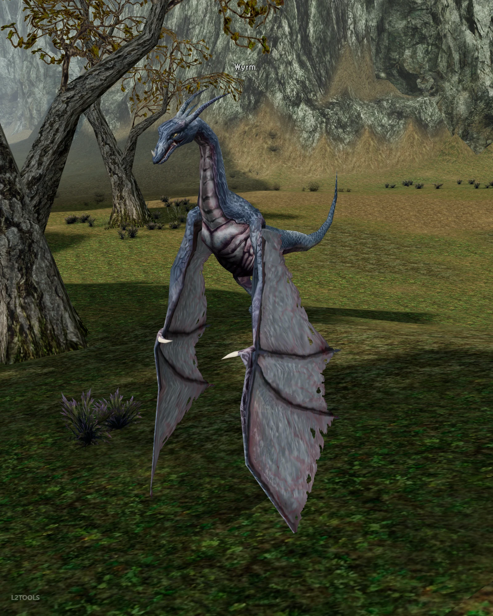 Wyrm portrait