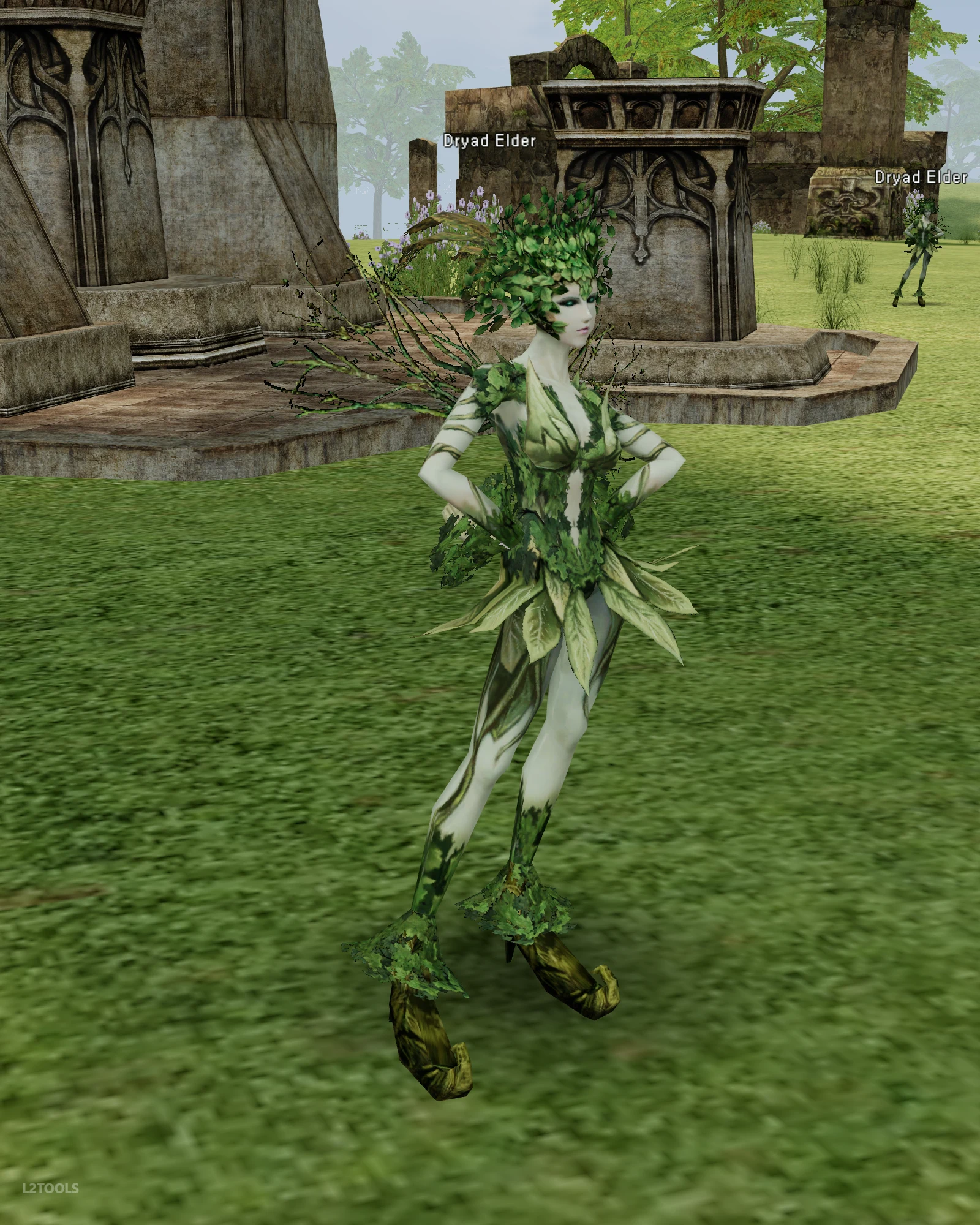 Dryad Elder portrait