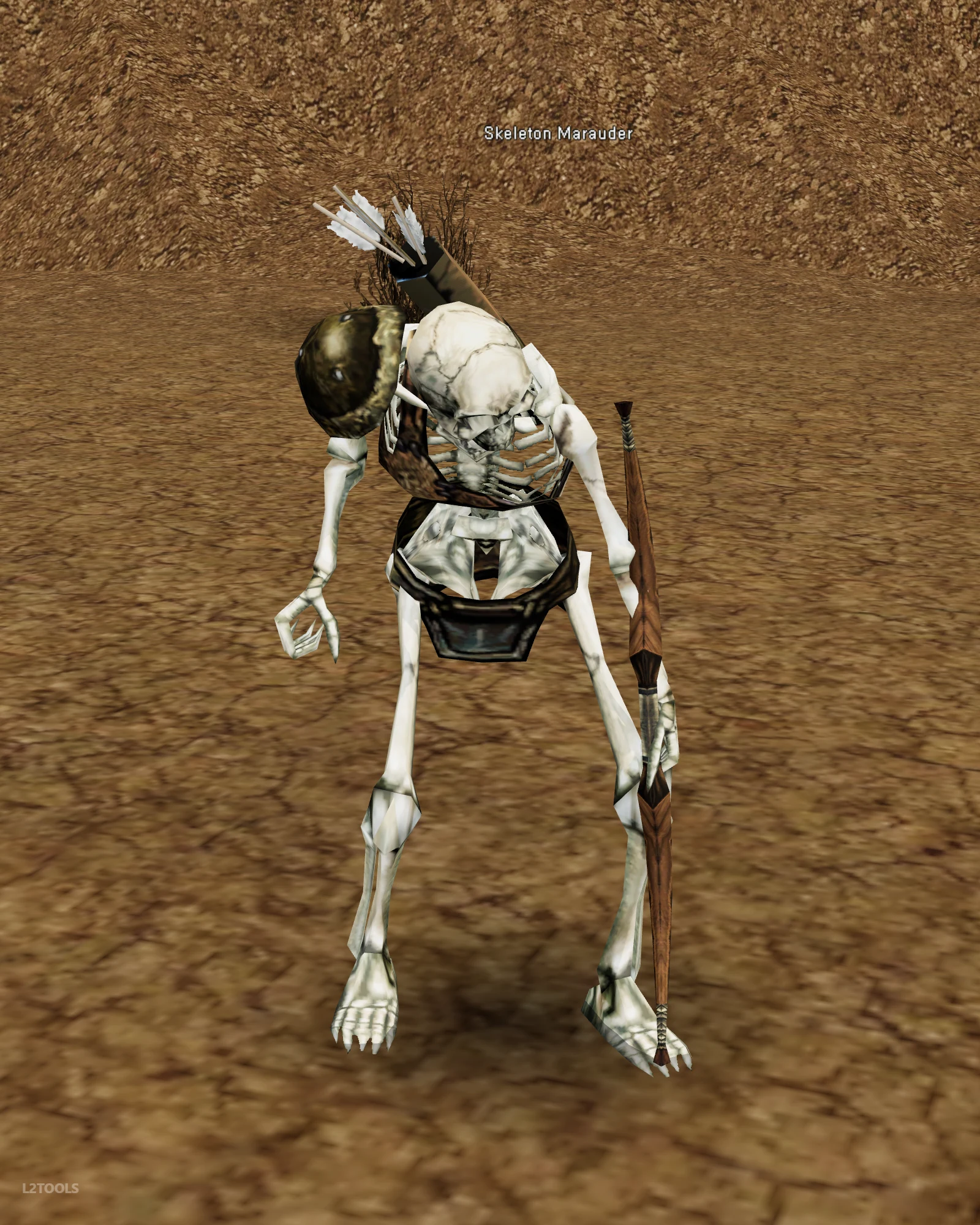 Skeleton Marauder portrait