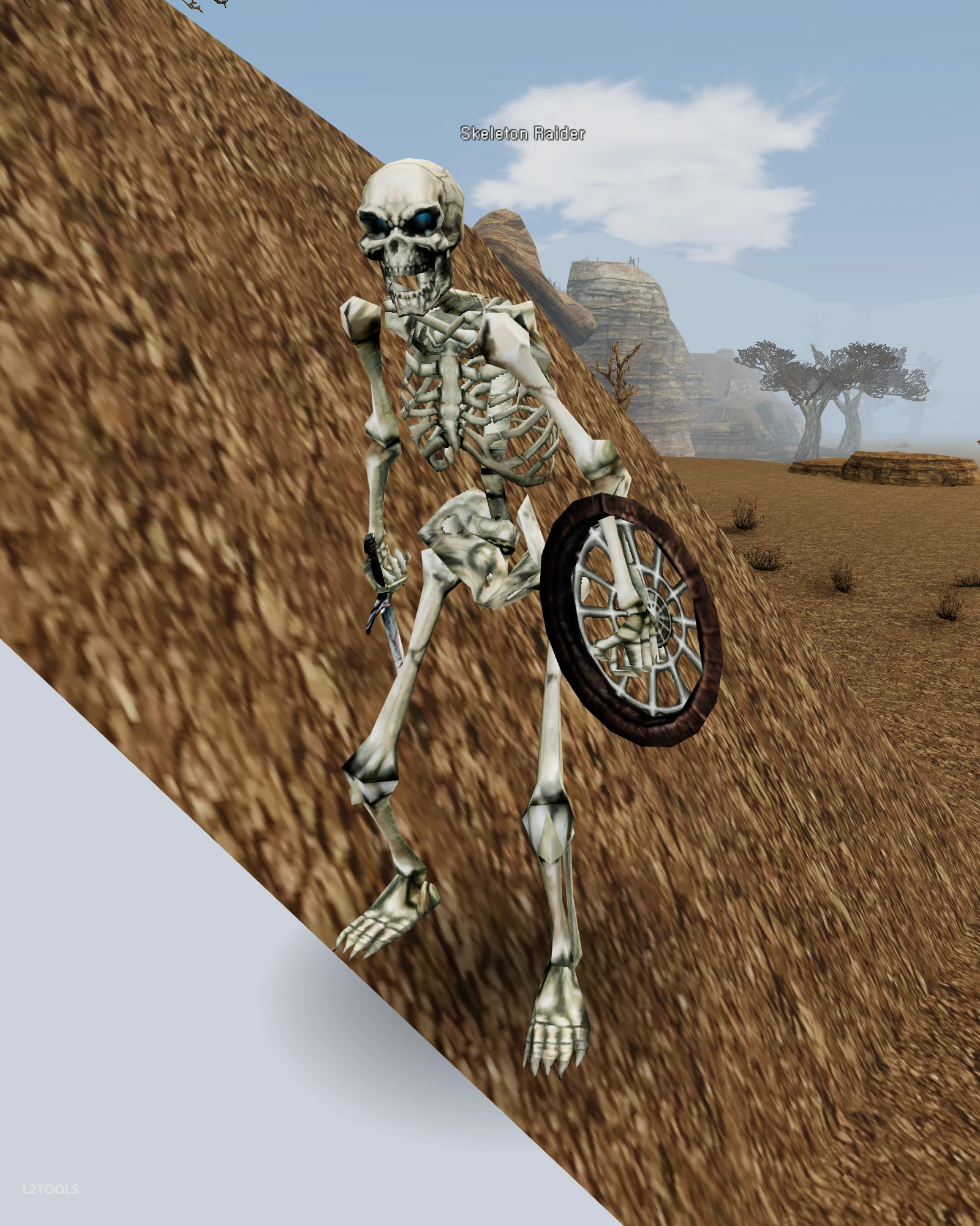 Skeleton Raider portrait