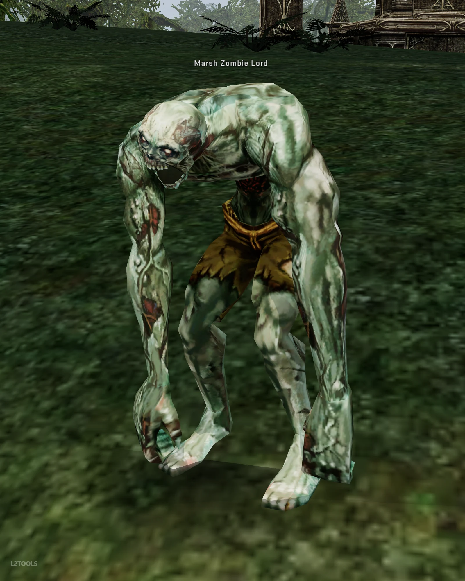 Marsh Zombie Lord portrait