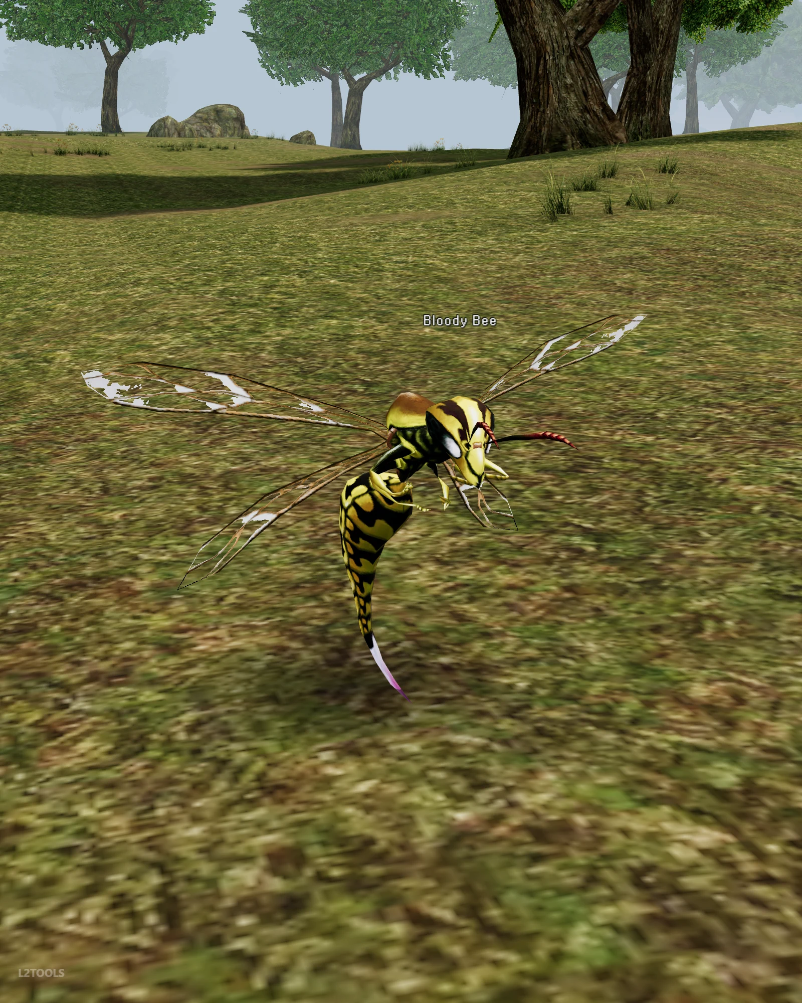 Bloody Bee portrait