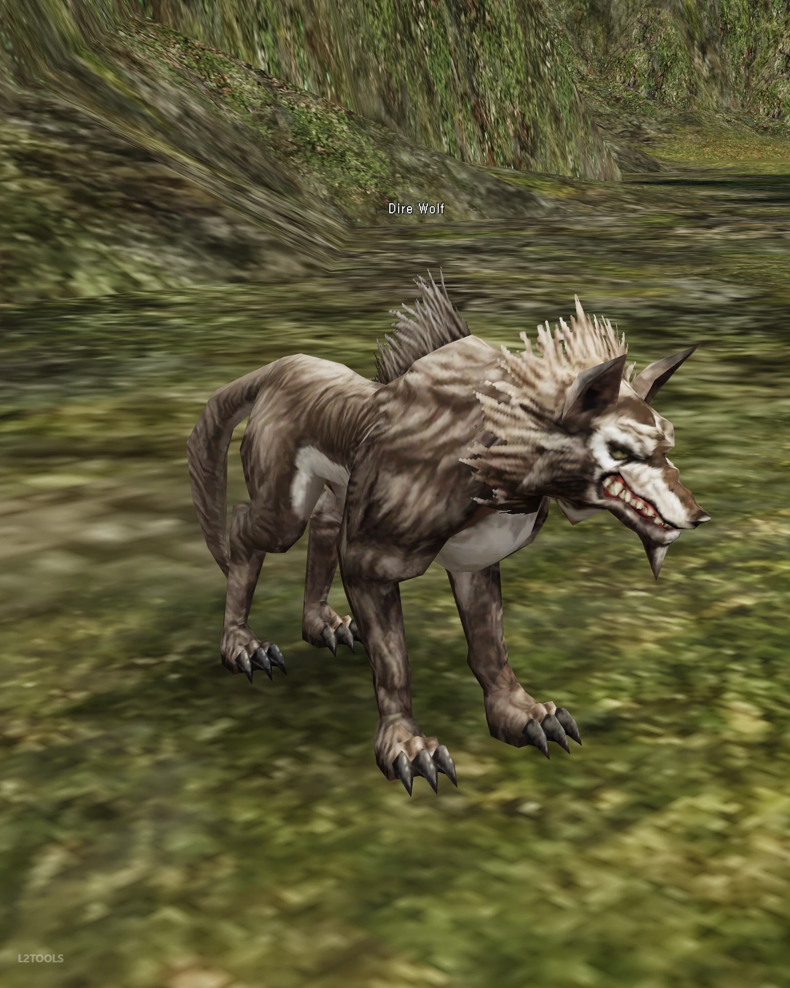 Dire Wolf portrait