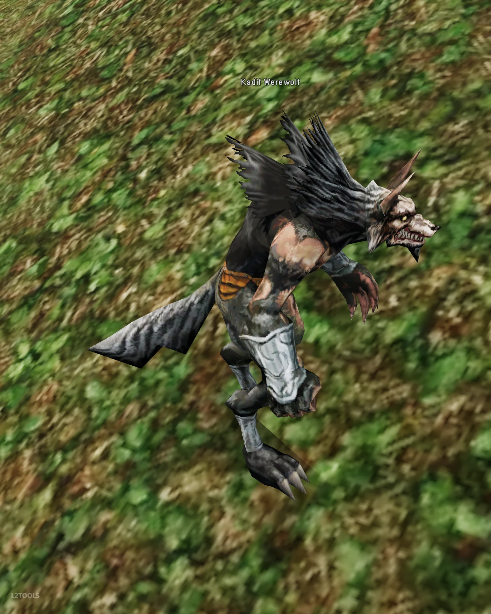 Kadif Werewolf portrait