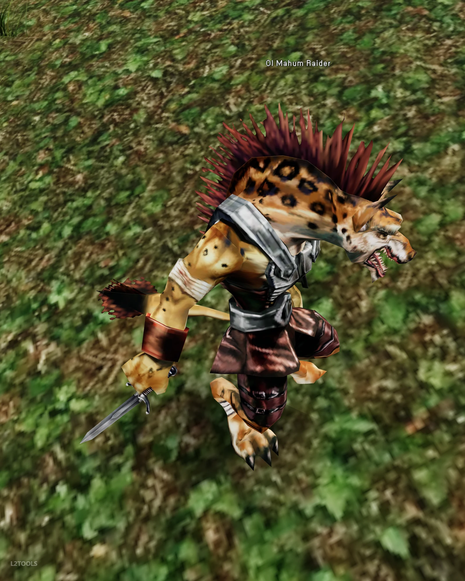 Ol Mahum Raider portrait