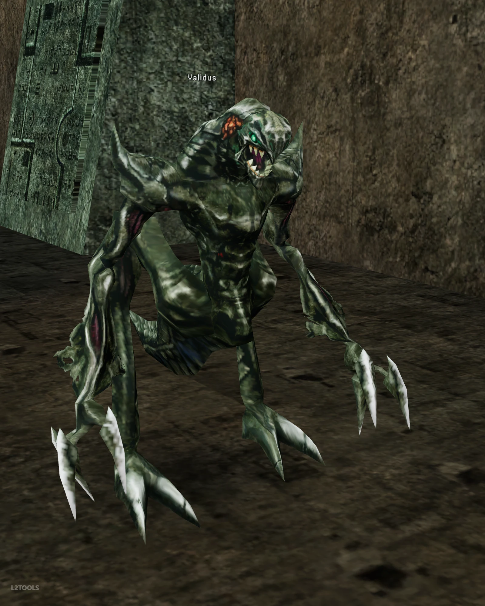 Validus portrait