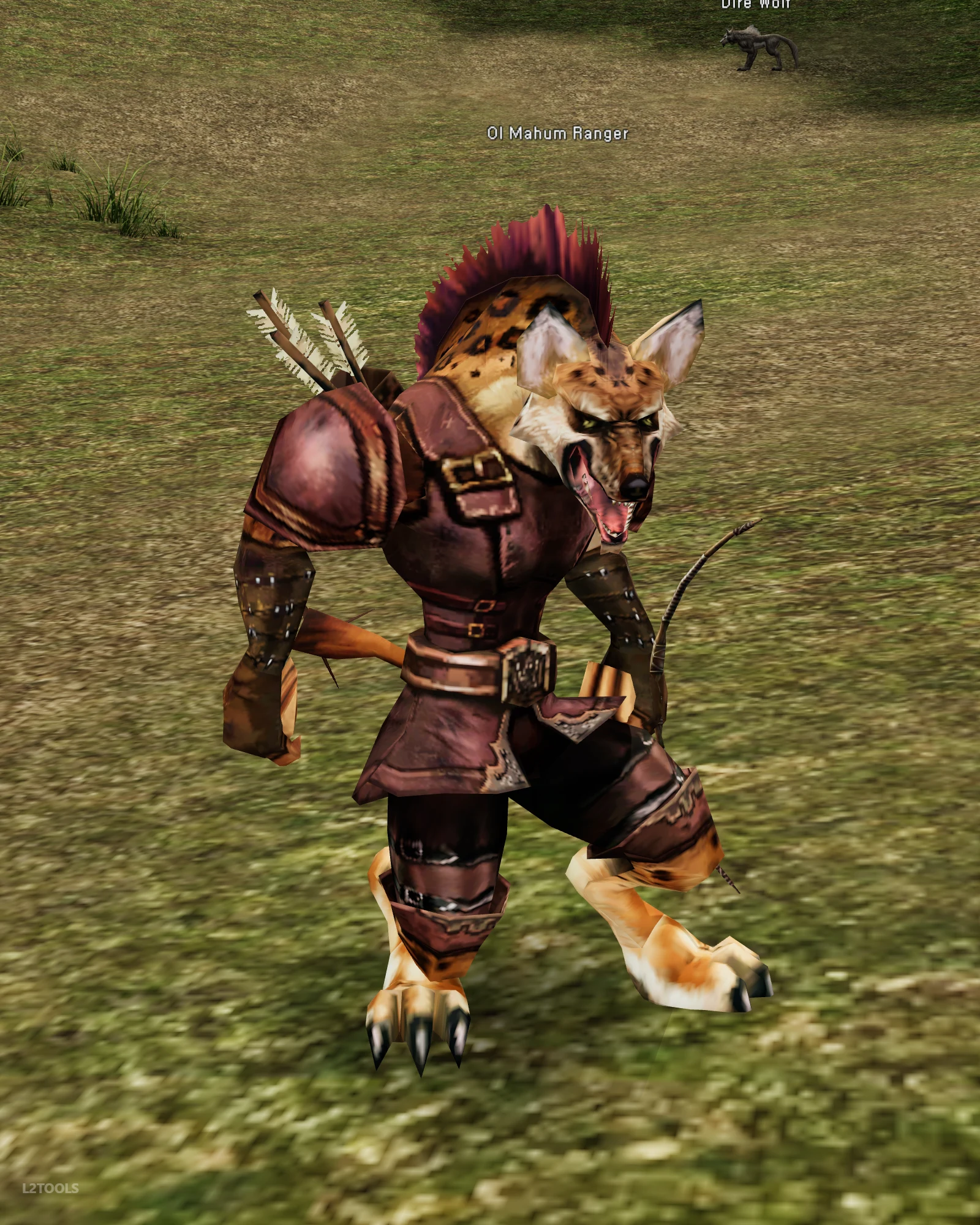 Ol Mahum Ranger portrait