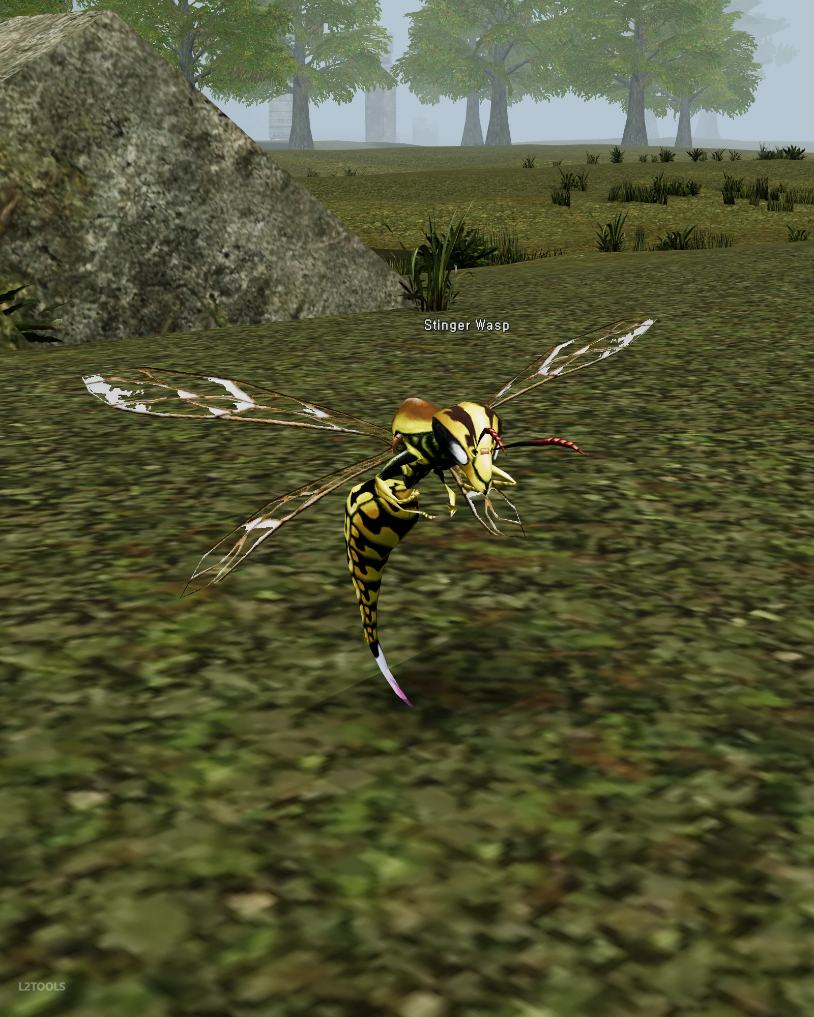 Stinger Wasp portrait