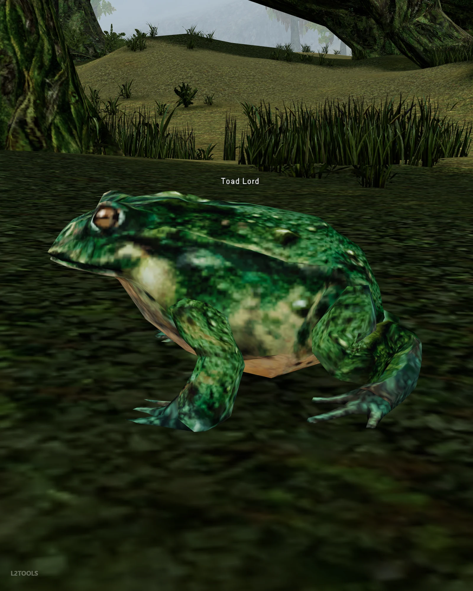 Toad Lord portrait