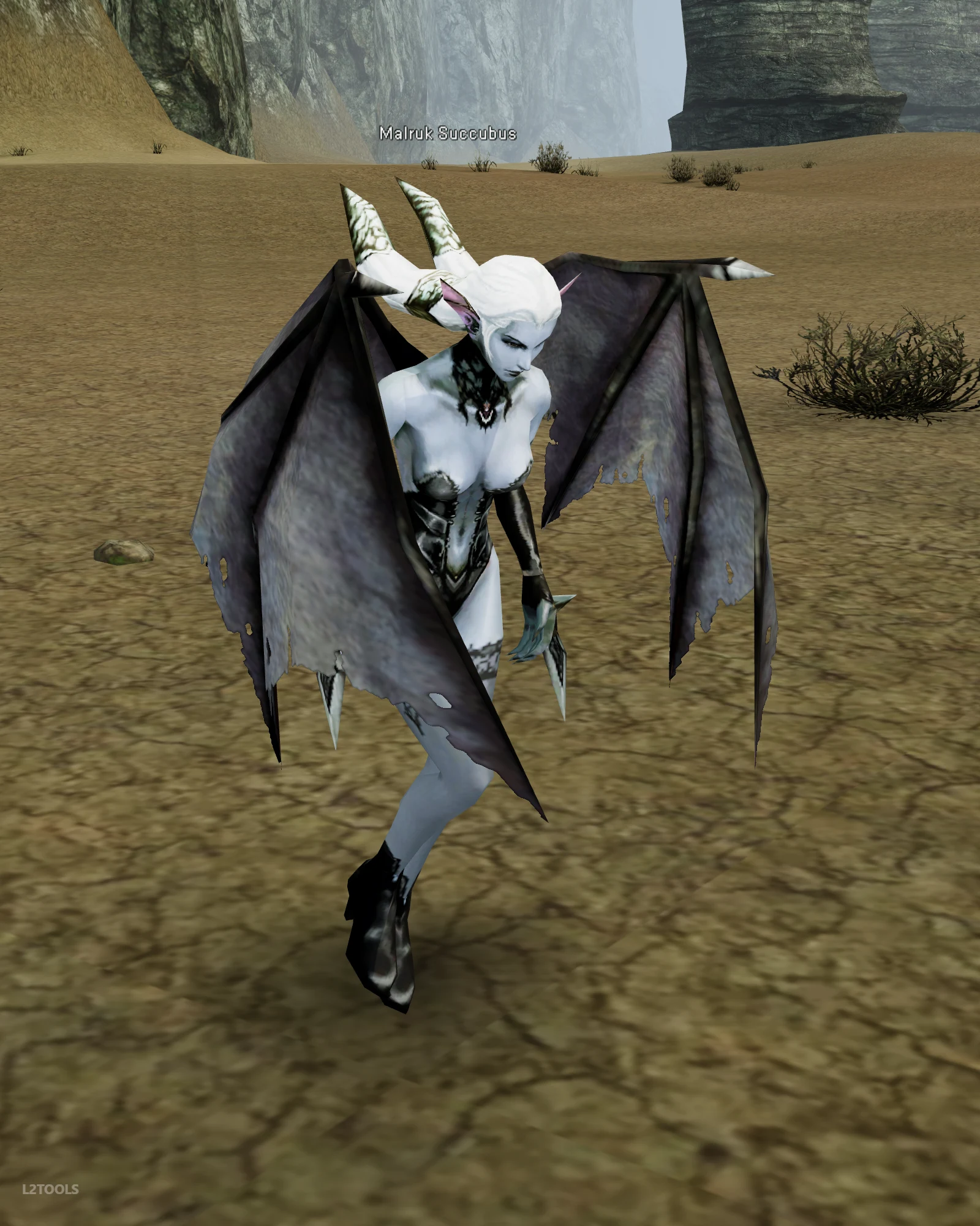 Malruk Succubus portrait