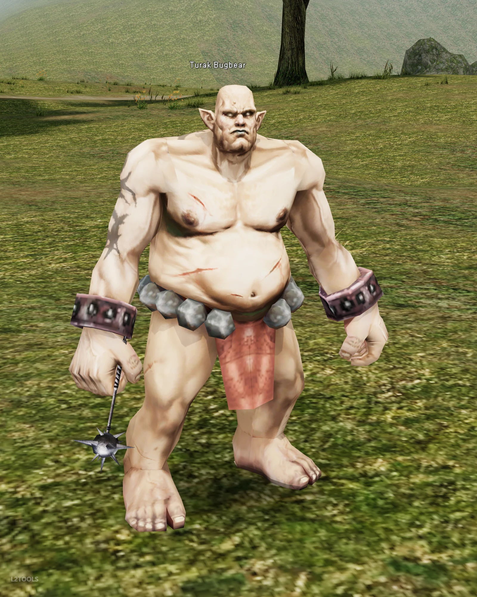 Turak Bugbear portrait