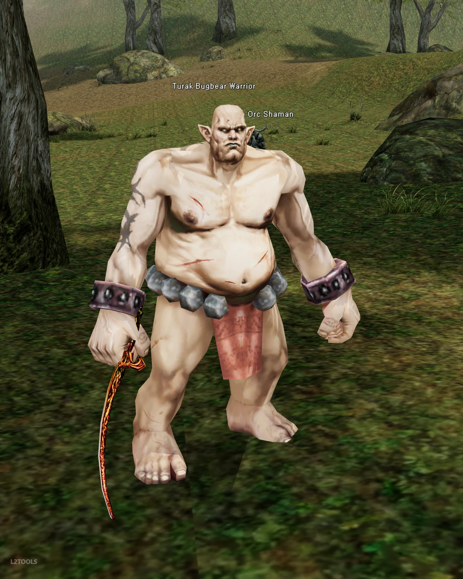 Turak Bugbear Warrior portrait