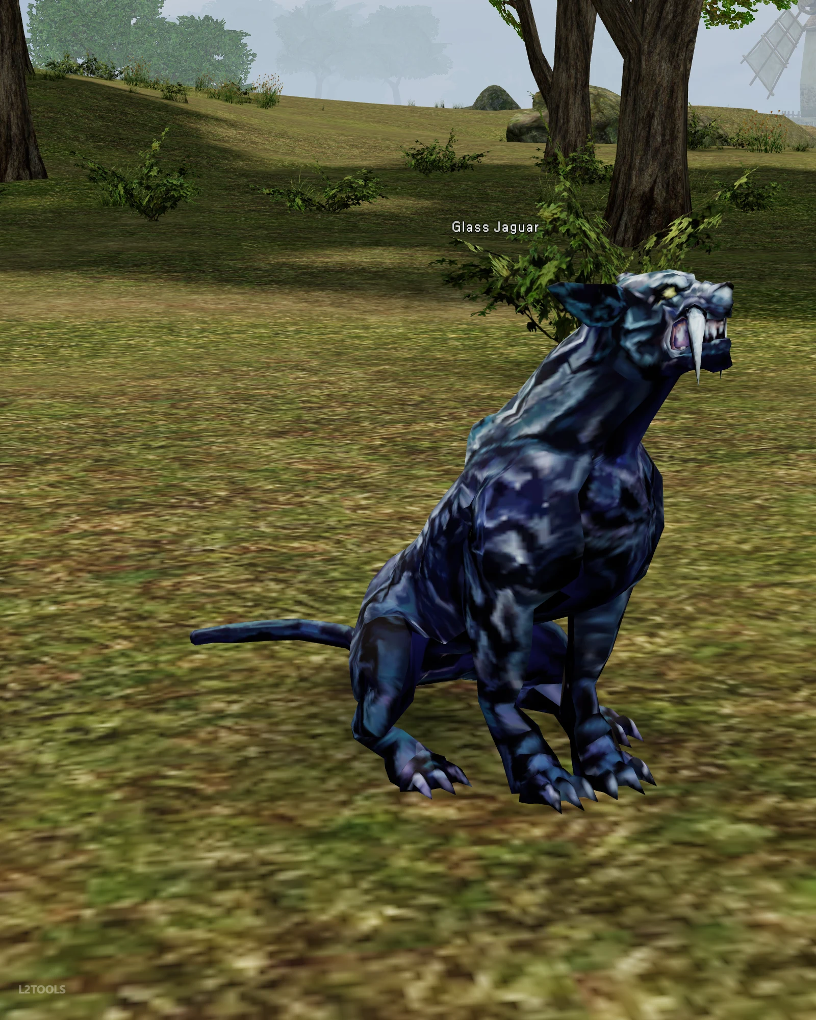Glass Jaguar portrait