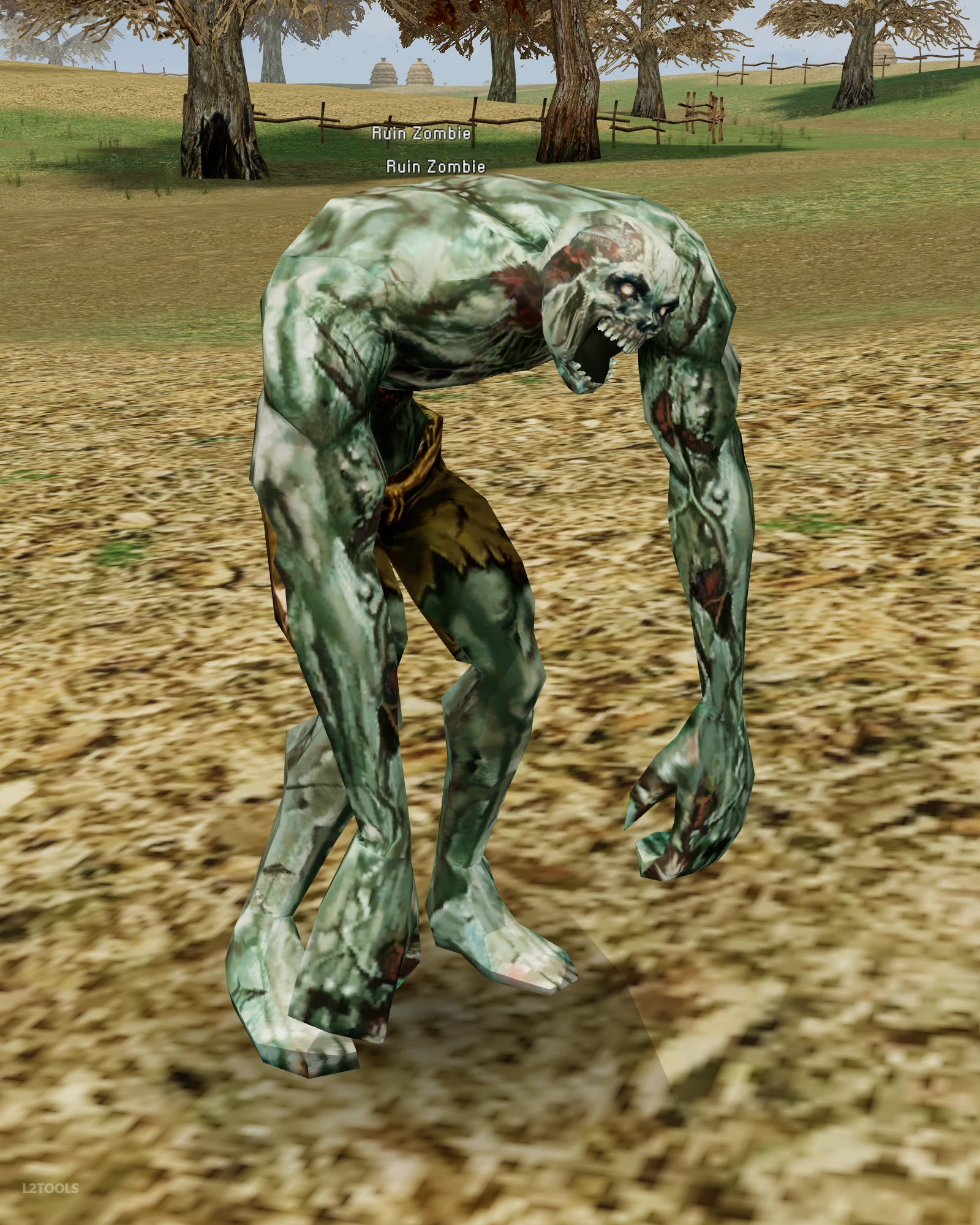 Ruin Zombie portrait