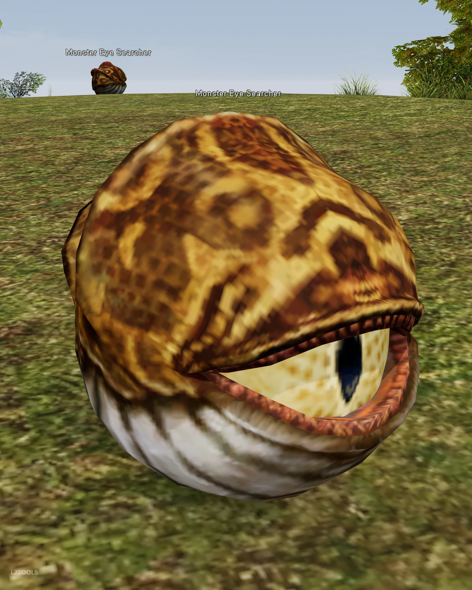 Monster Eye Searcher portrait