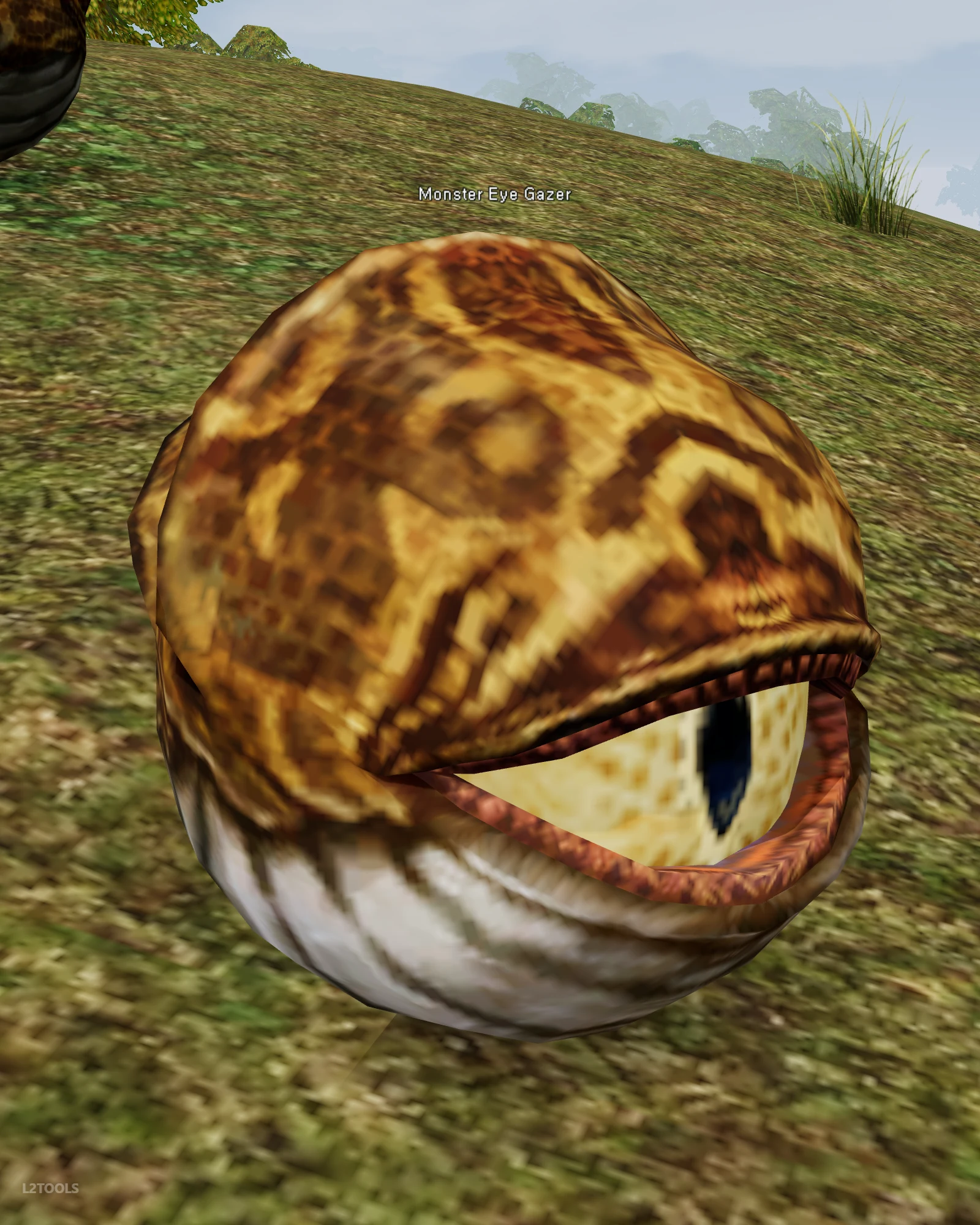 Monster Eye Gazer portrait