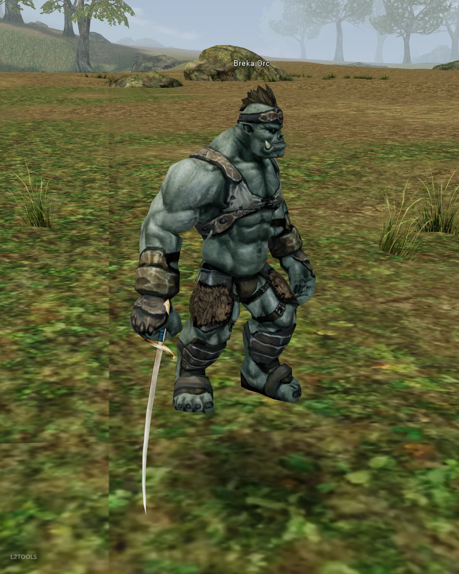 Breka Orc portrait