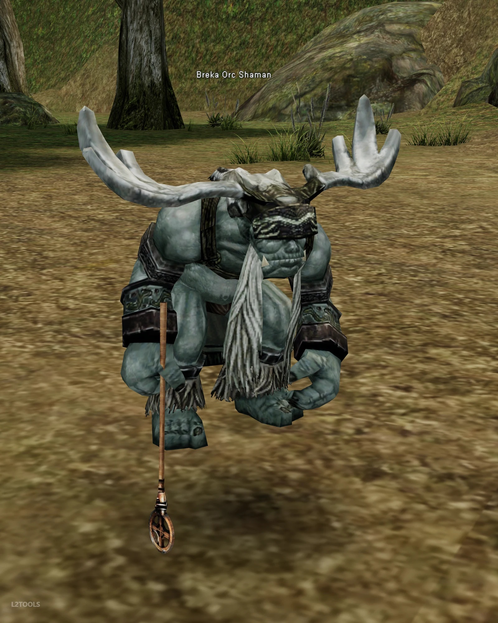 Breka Orc Shaman portrait
