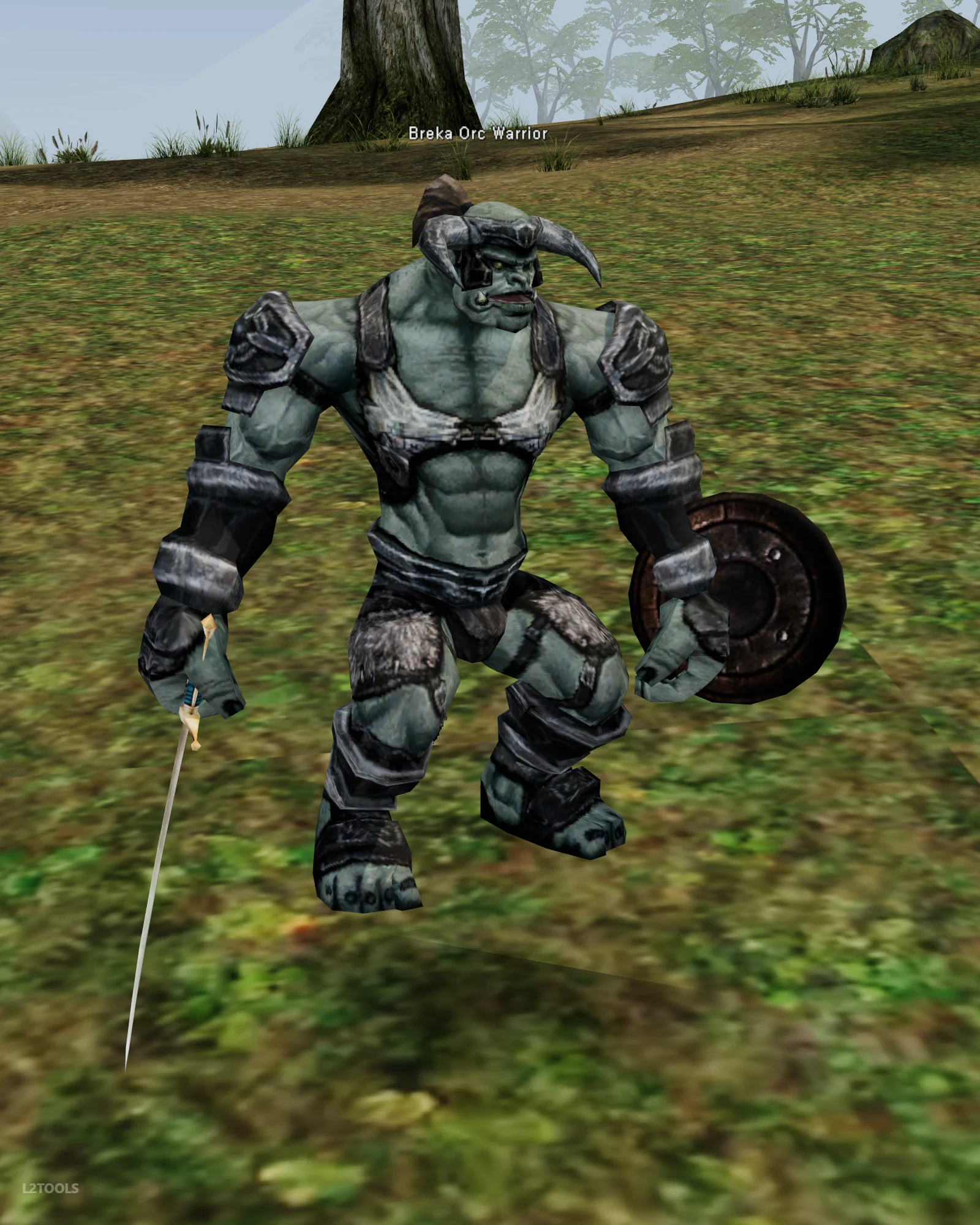 Breka Orc Warrior portrait