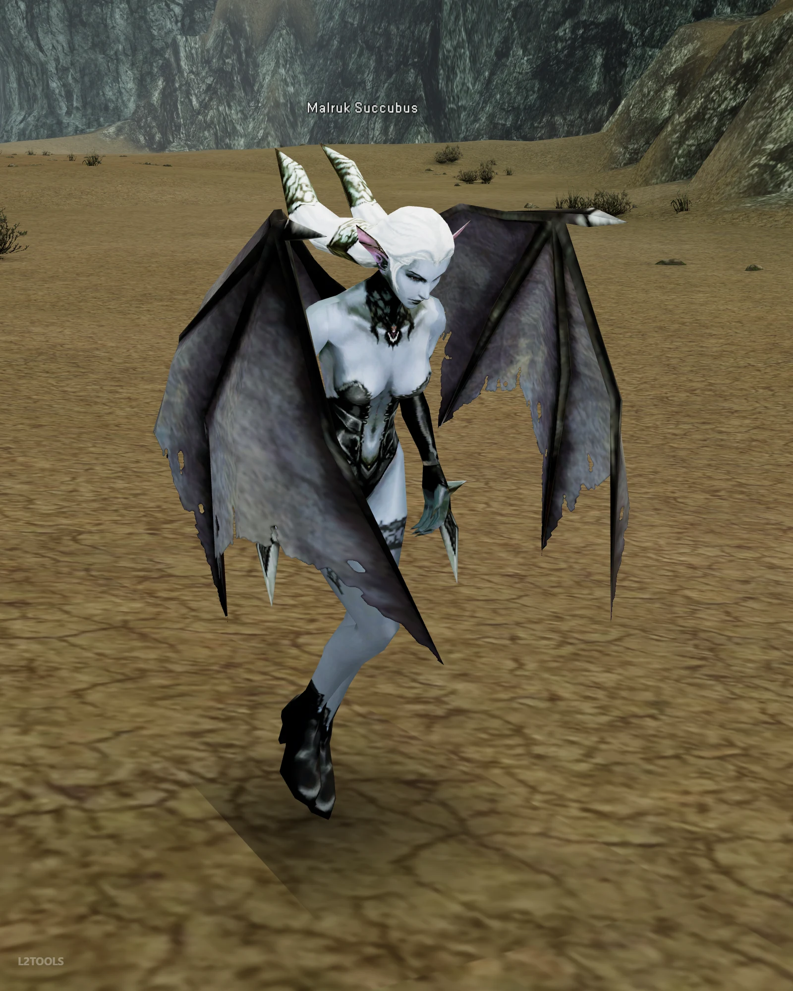 Malruk Succubus portrait