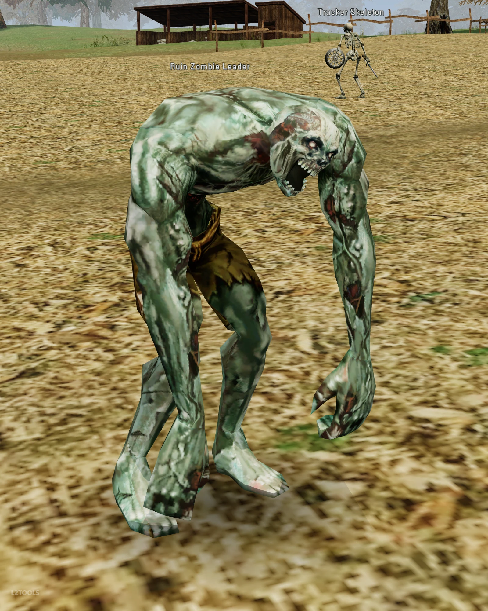 Ruin Zombie Leader portrait