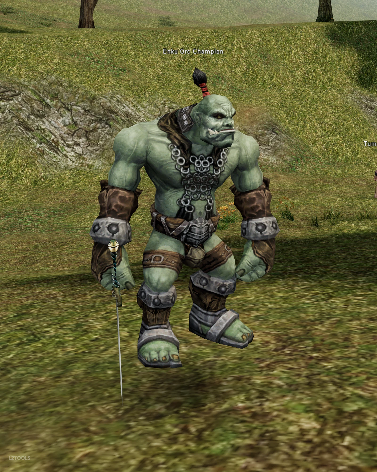 Enku Orc Champion portrait