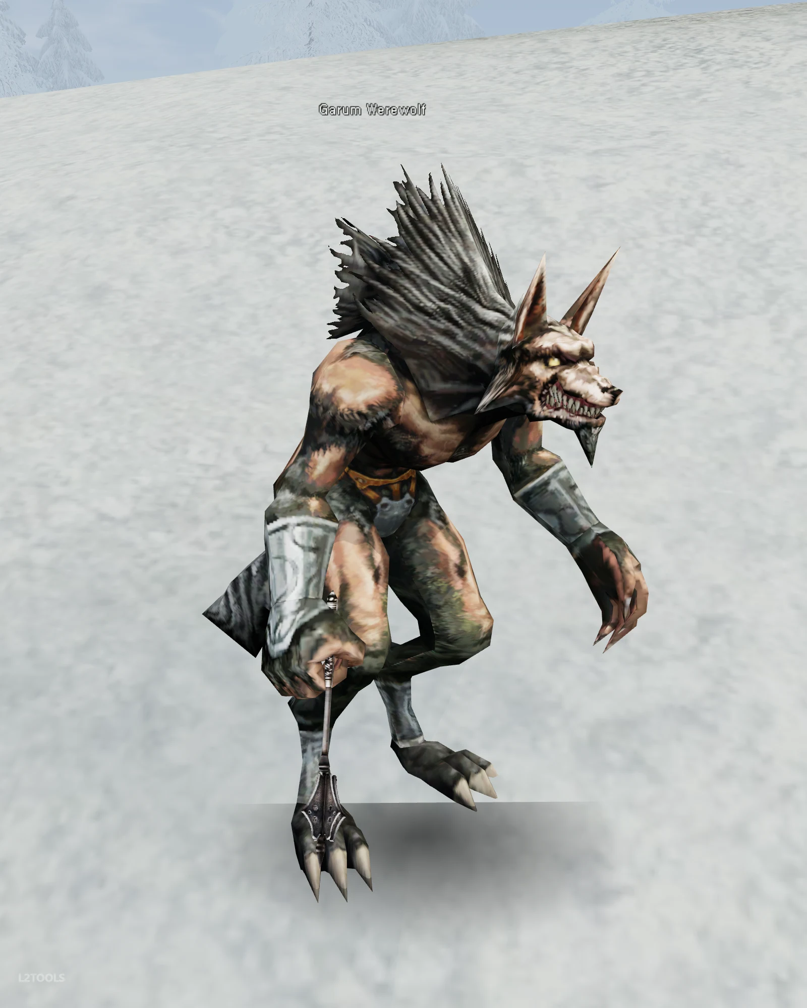 Garum Werewolf portrait