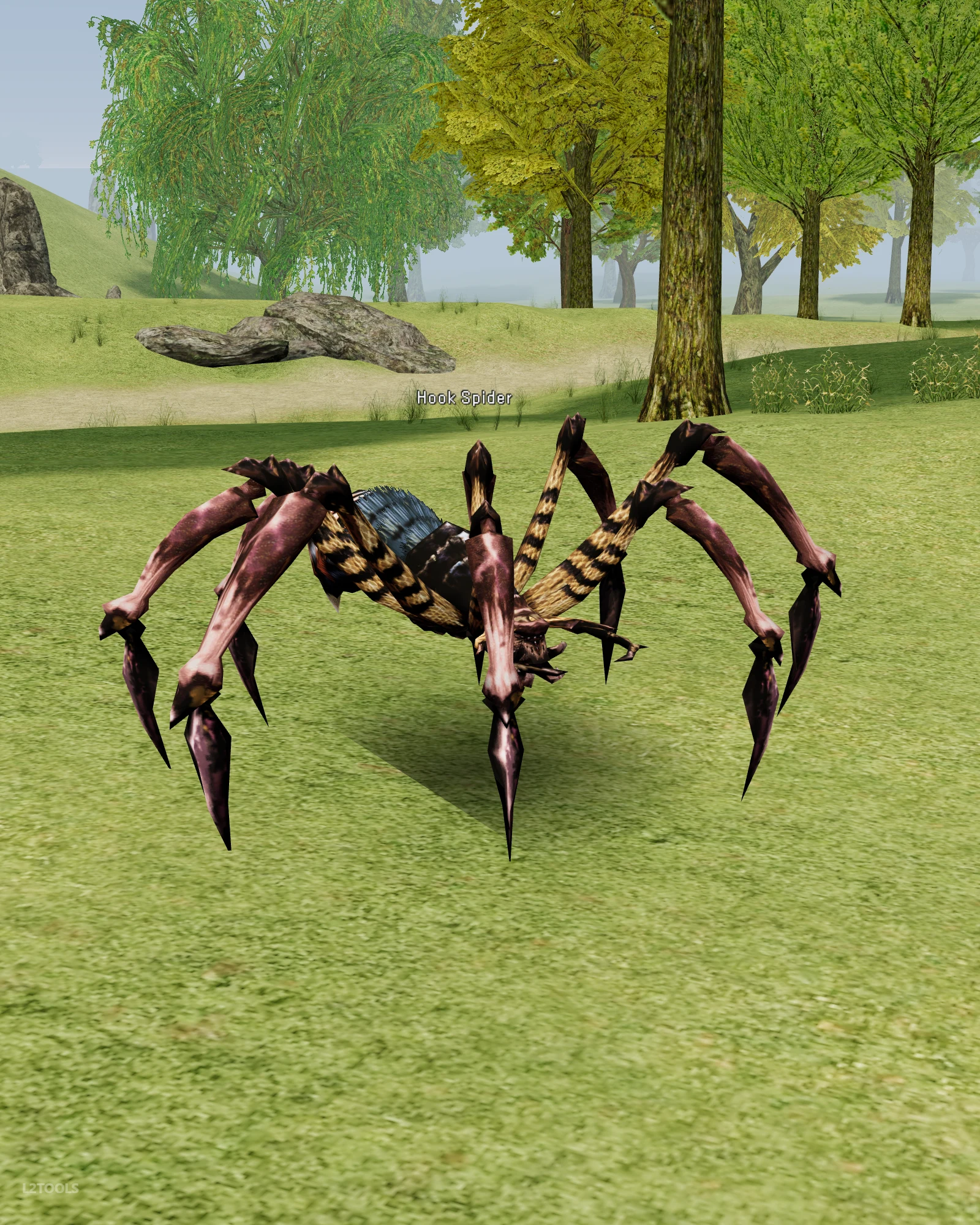 Hook Spider portrait