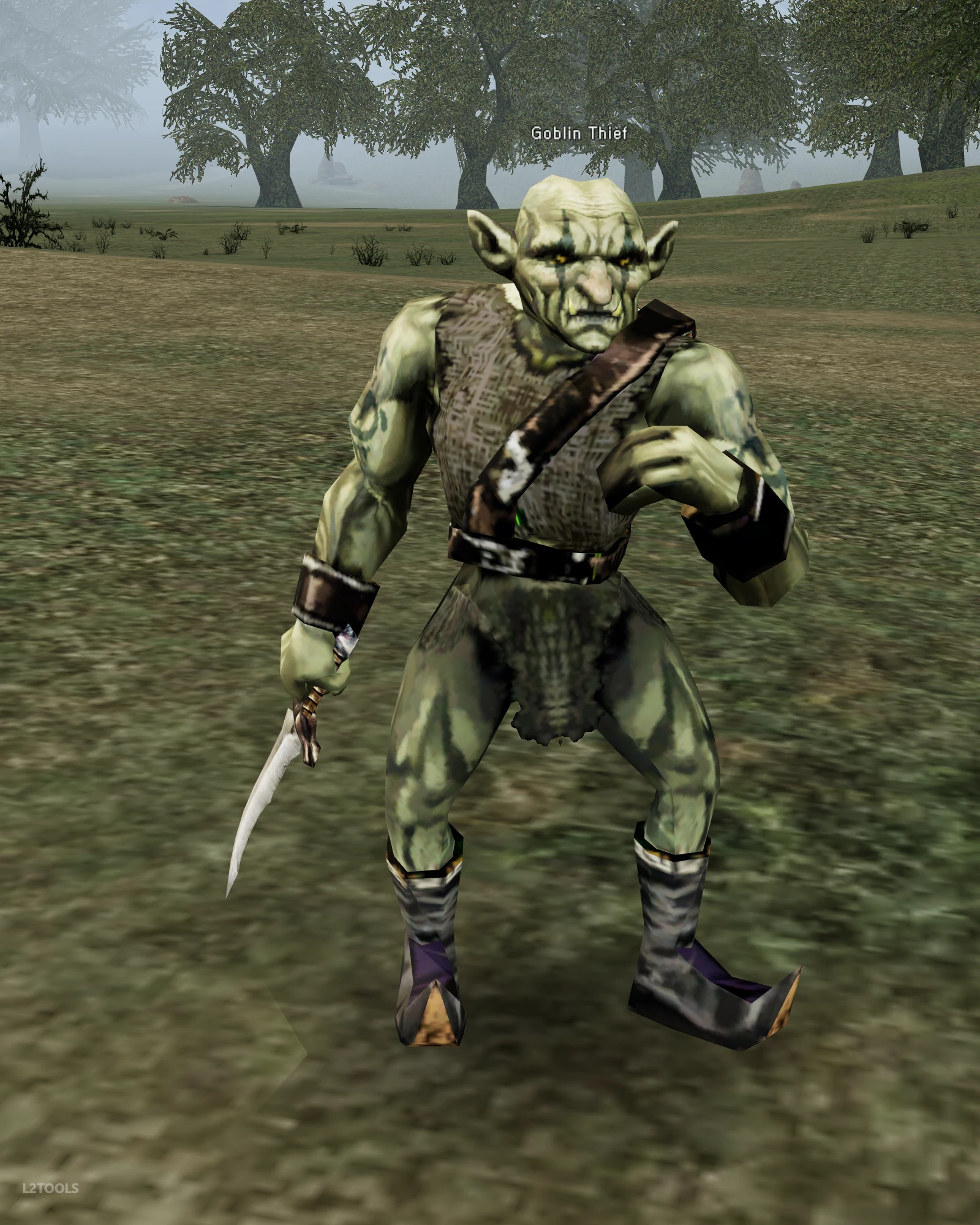 Goblin Thief portrait