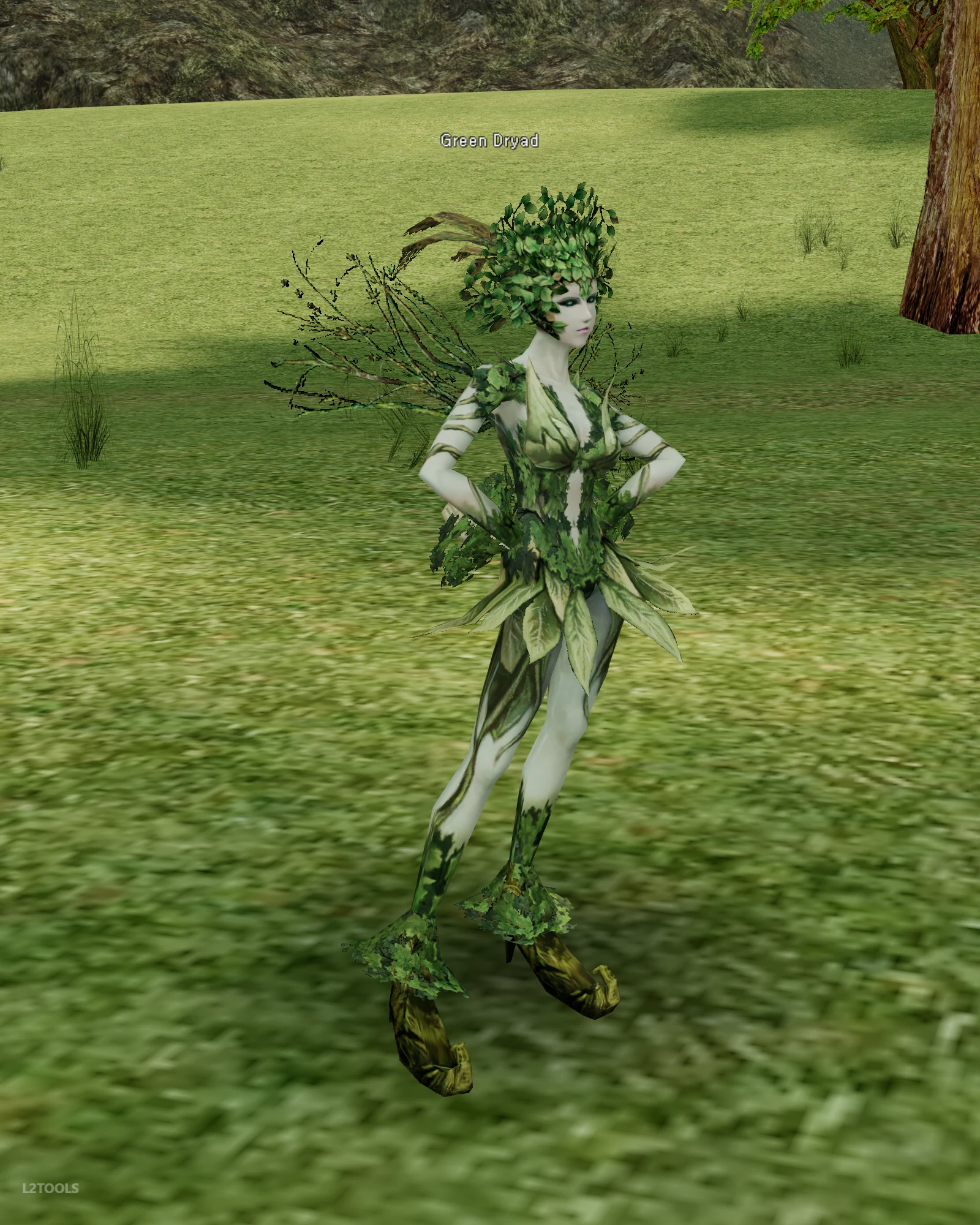 Green Dryad portrait